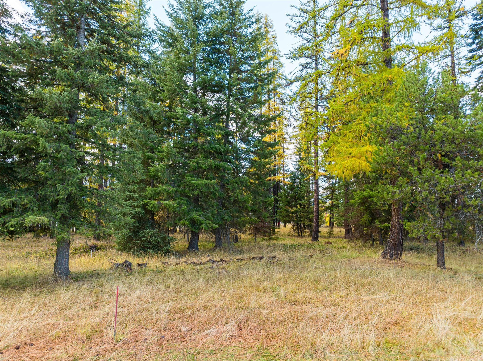 Lot 2 Cabinet Heights Road