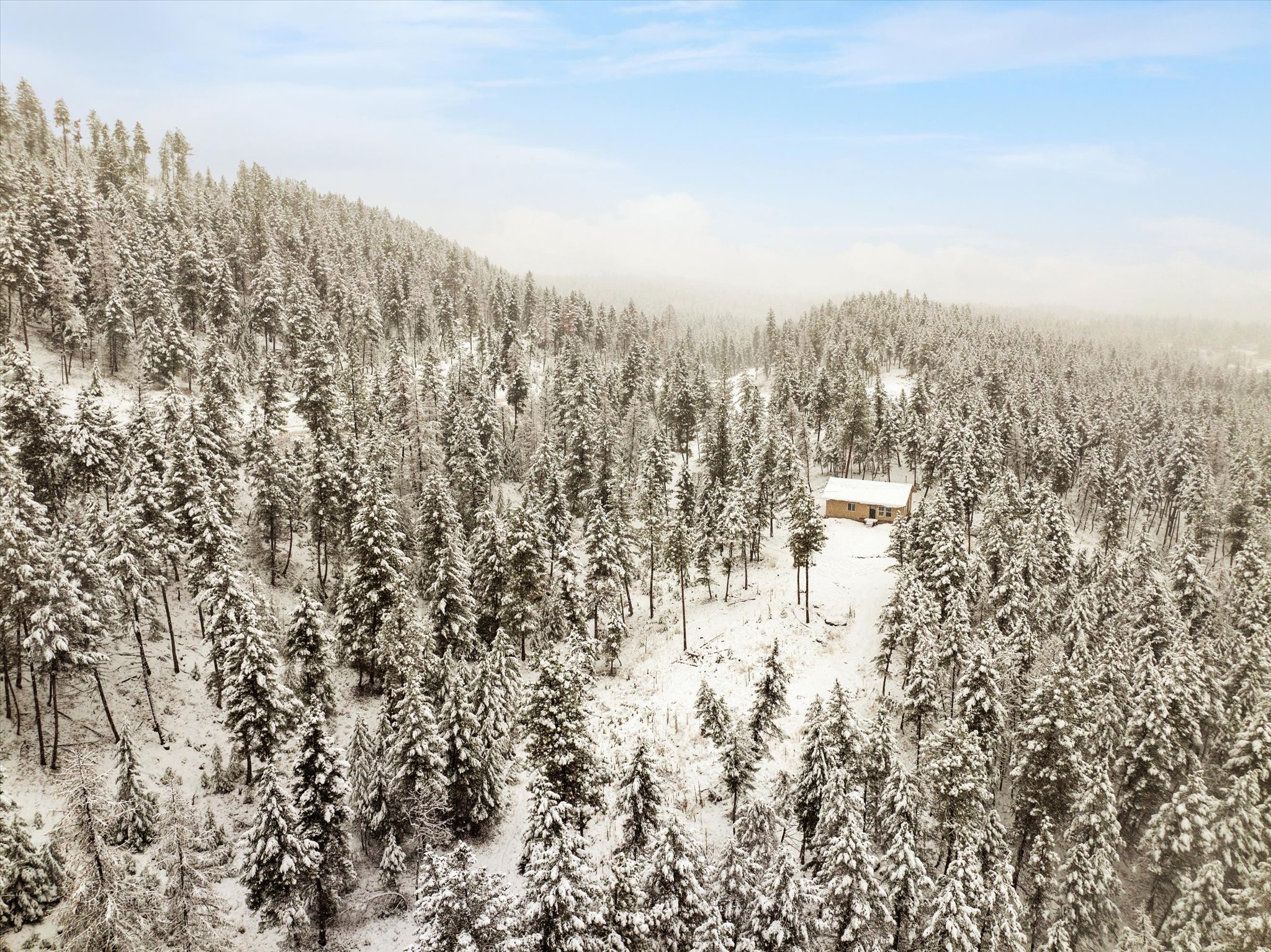 703 Tobacco Valley View Road