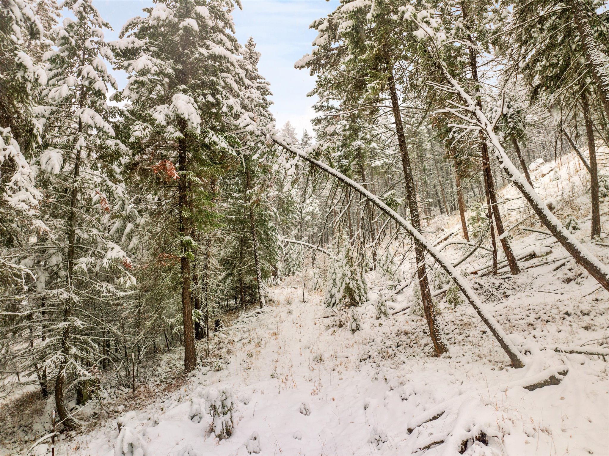 703 Tobacco Valley View Road