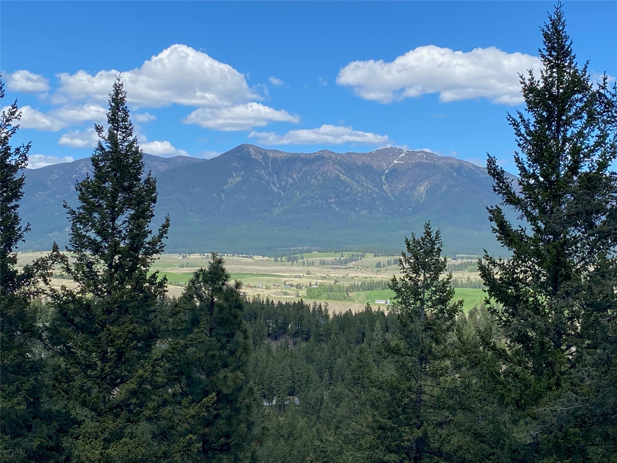 703 Tobacco Valley View Road