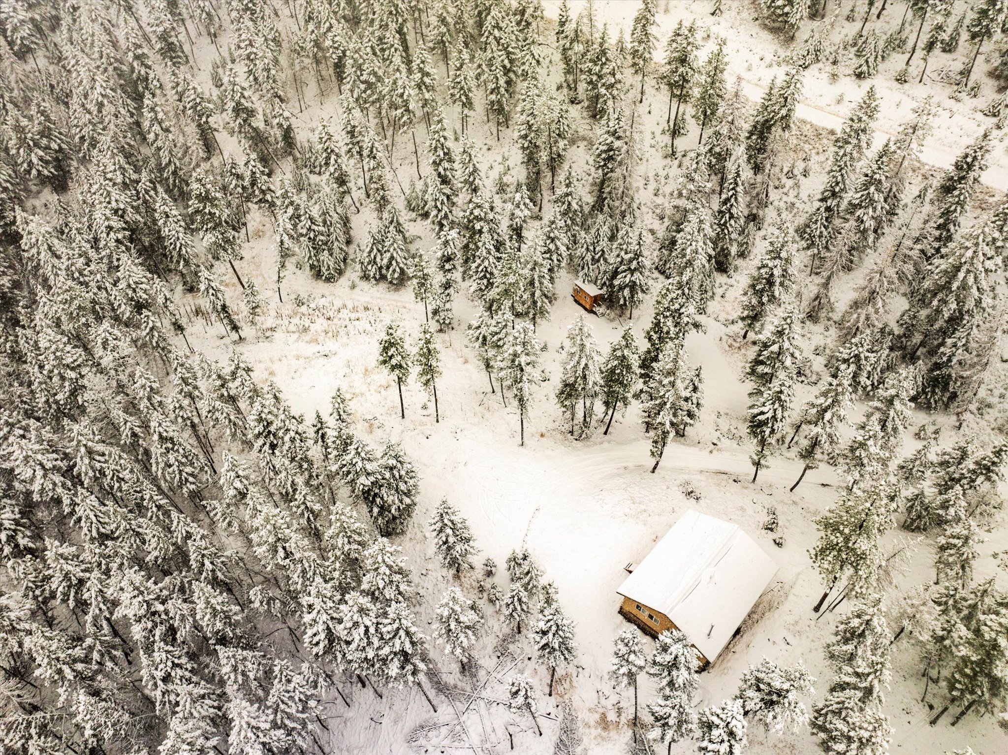 703 Tobacco Valley View Road