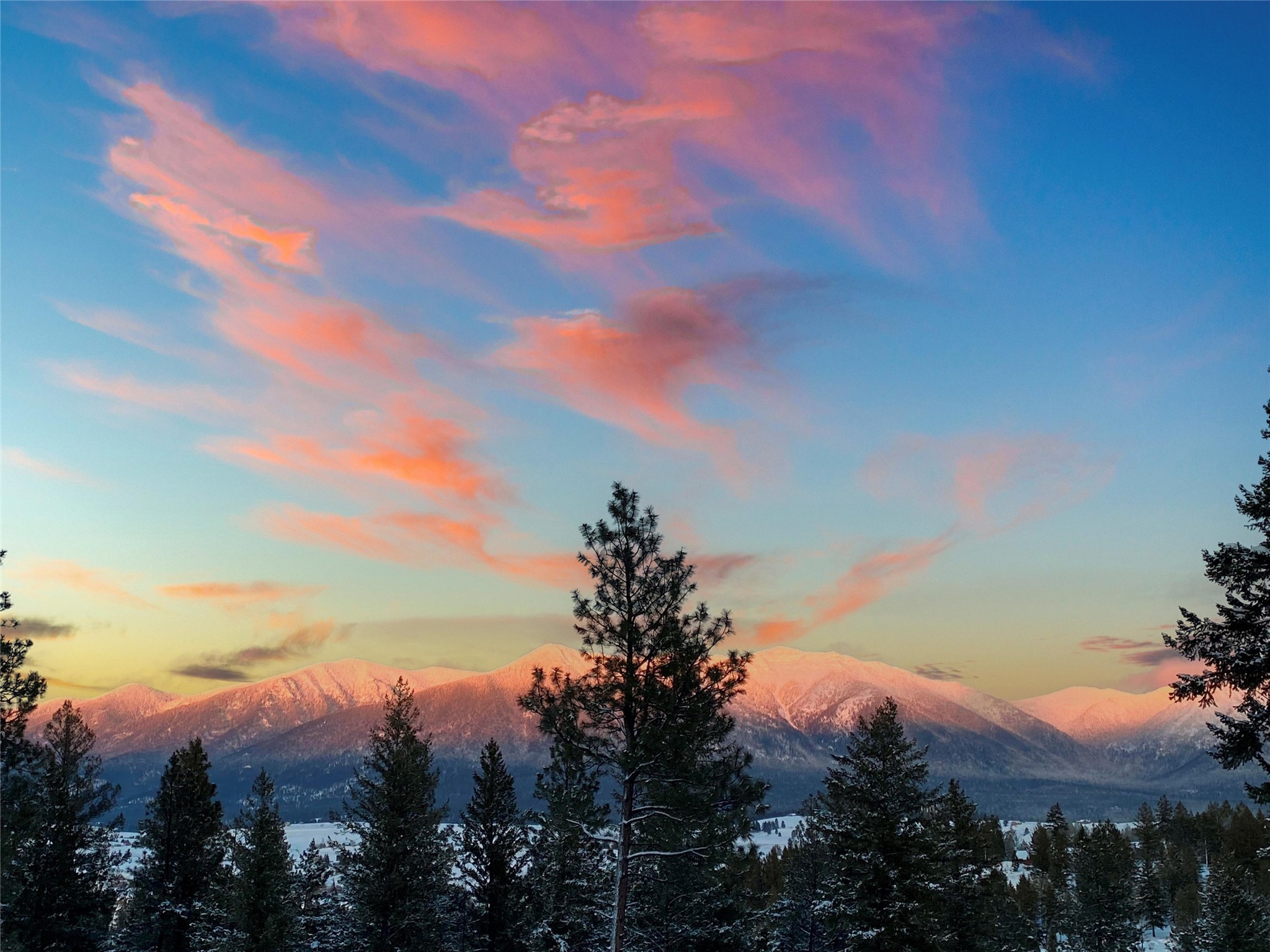 703 Tobacco Valley View Road