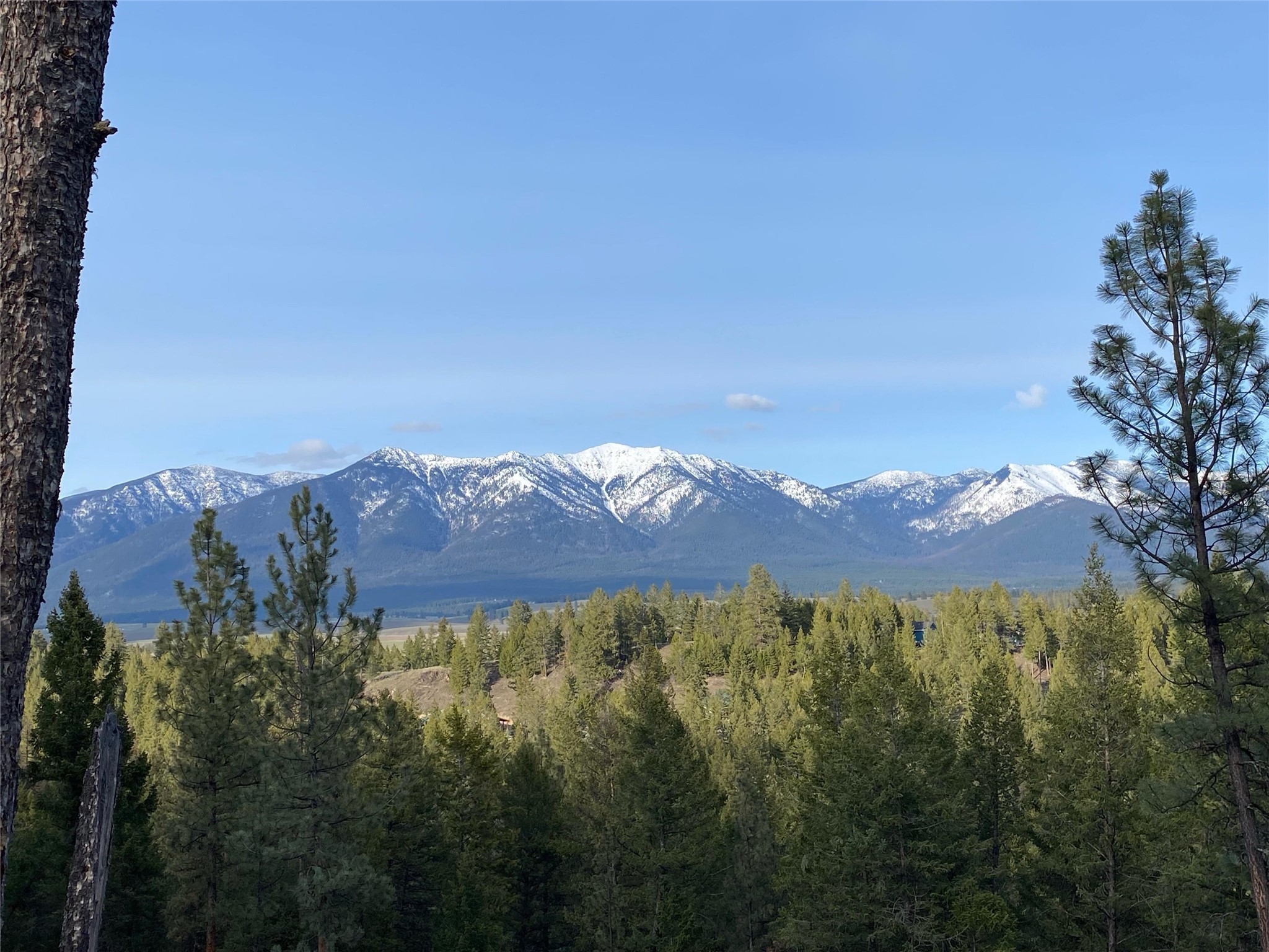 703 Tobacco Valley View Road