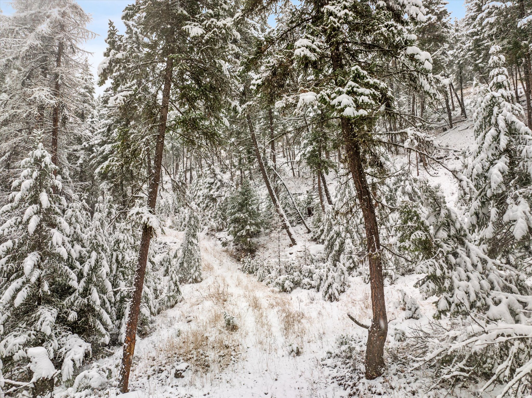 703 Tobacco Valley View Road