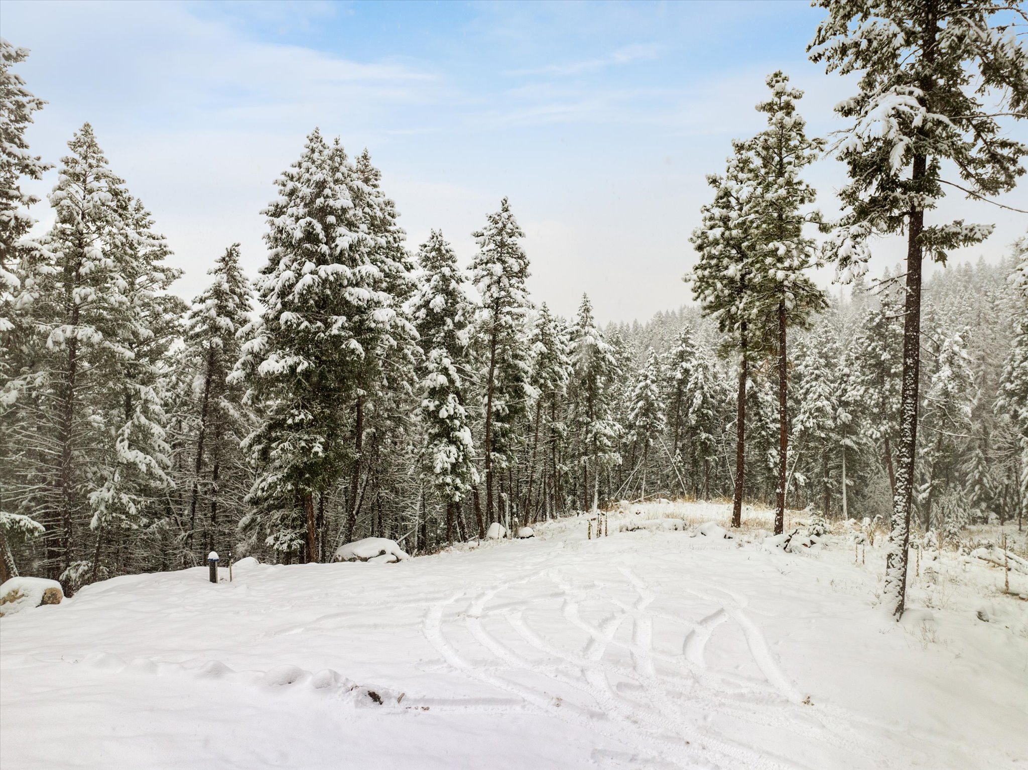 703 Tobacco Valley View Road