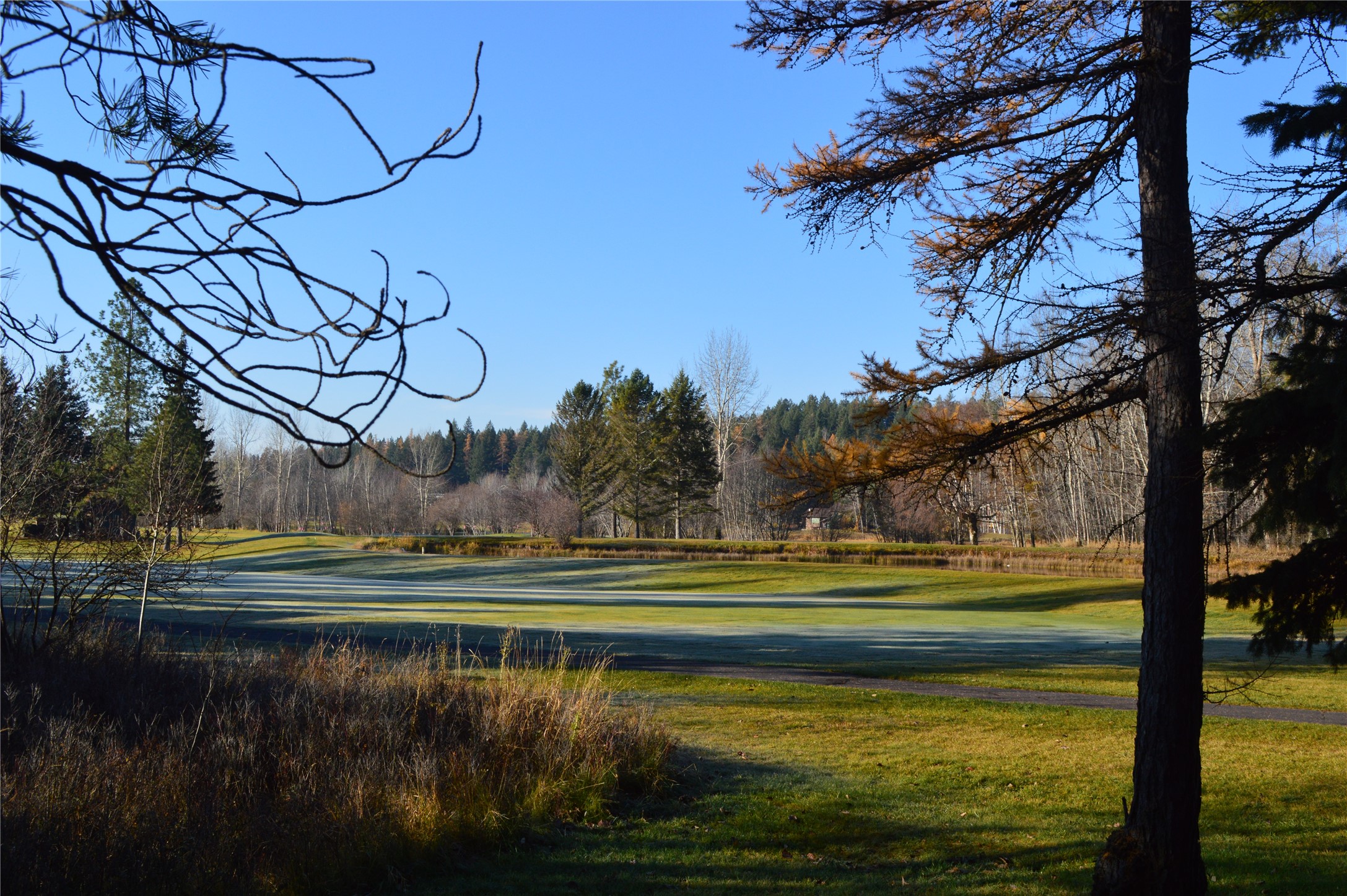 678 Saint Andrews Drive