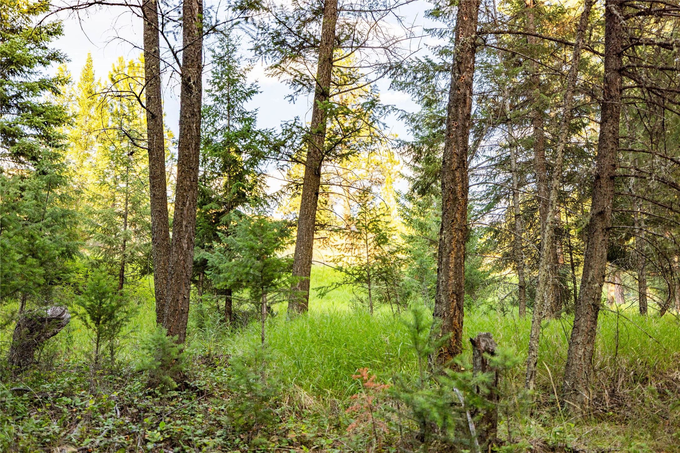 NHN Othorp Lake Road Parcel 3