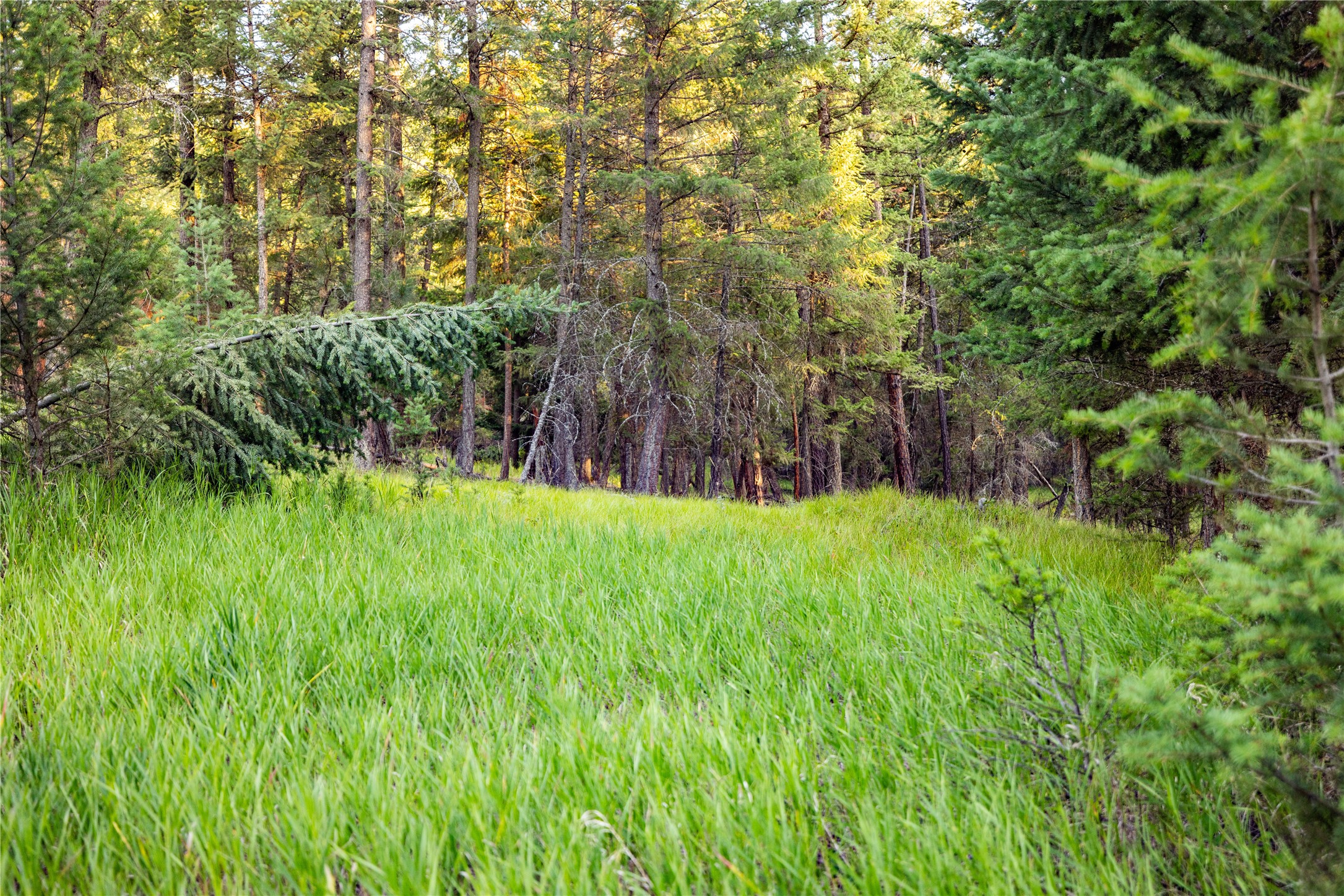 NHN Othorp Lake Road Parcel 3