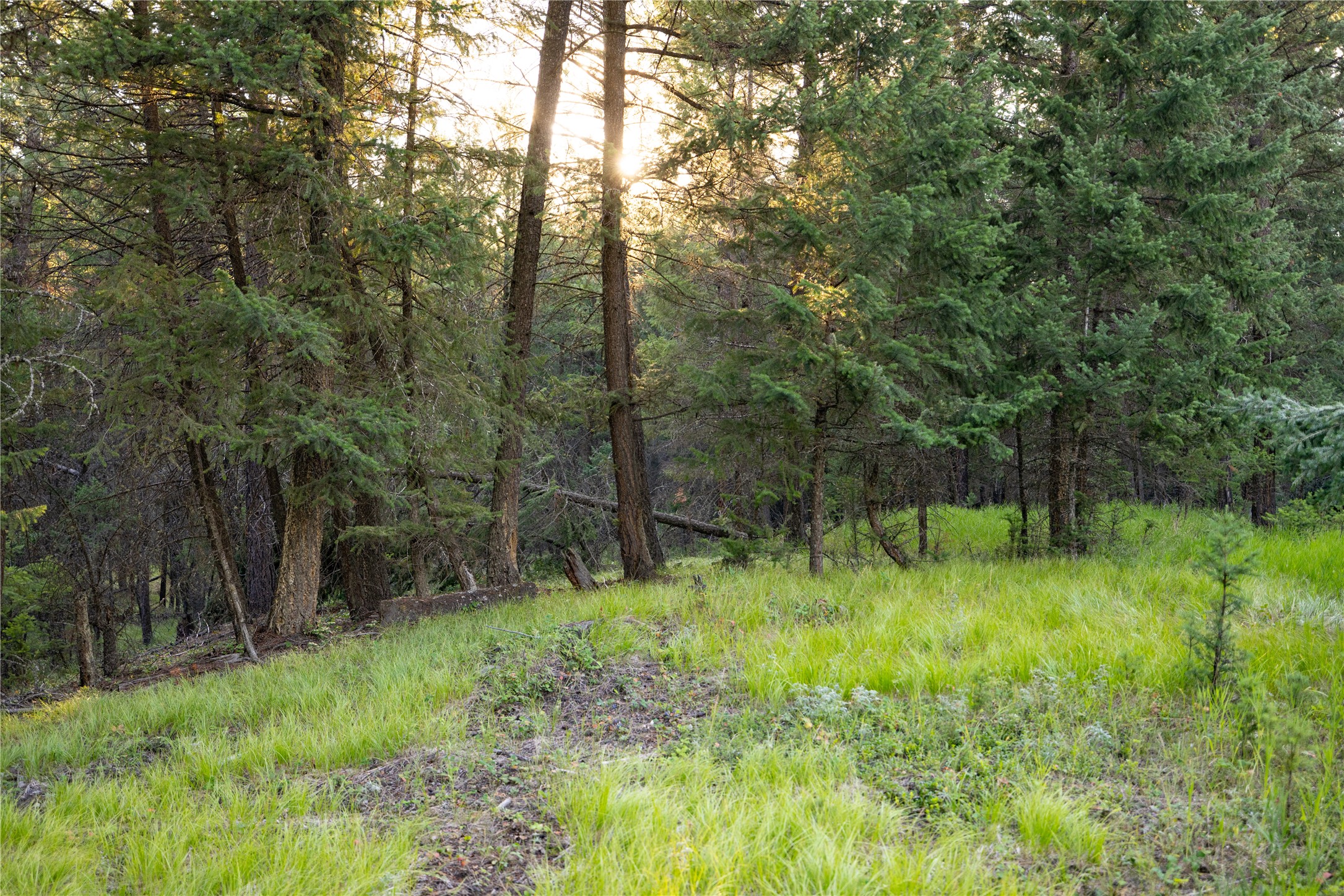 NHN Othorp Lake Road Parcel 3