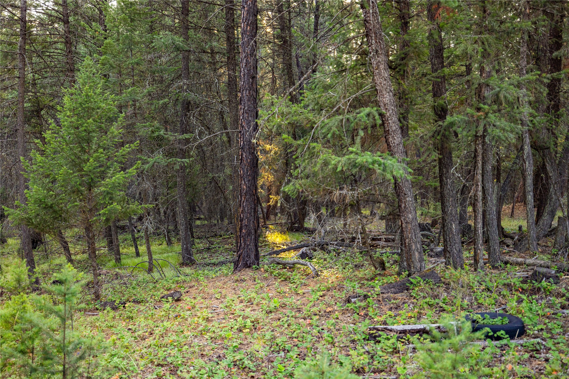 NHN Othorp Lake Road Parcel 3