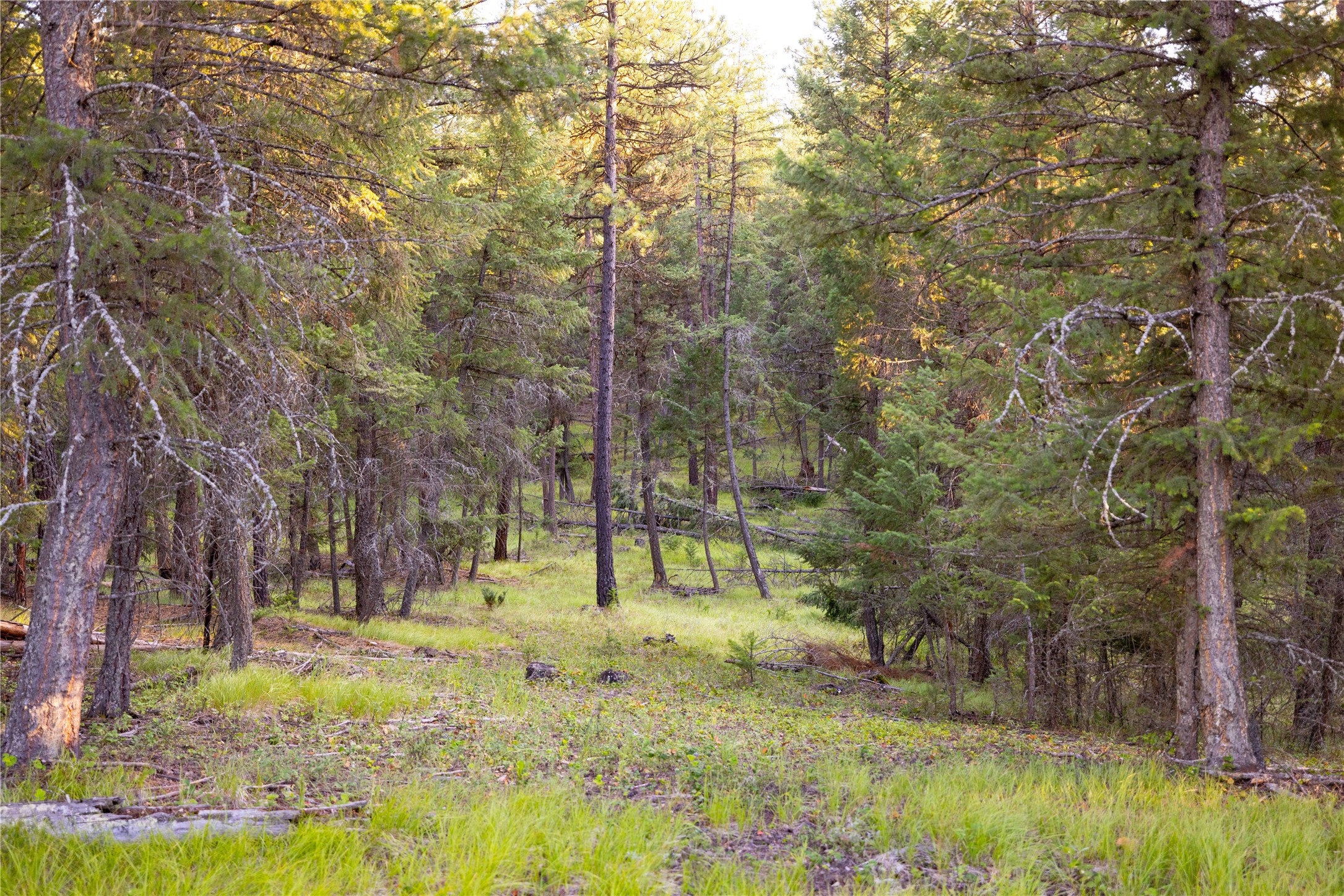 NHN Othorp Lake Road Parcel 3