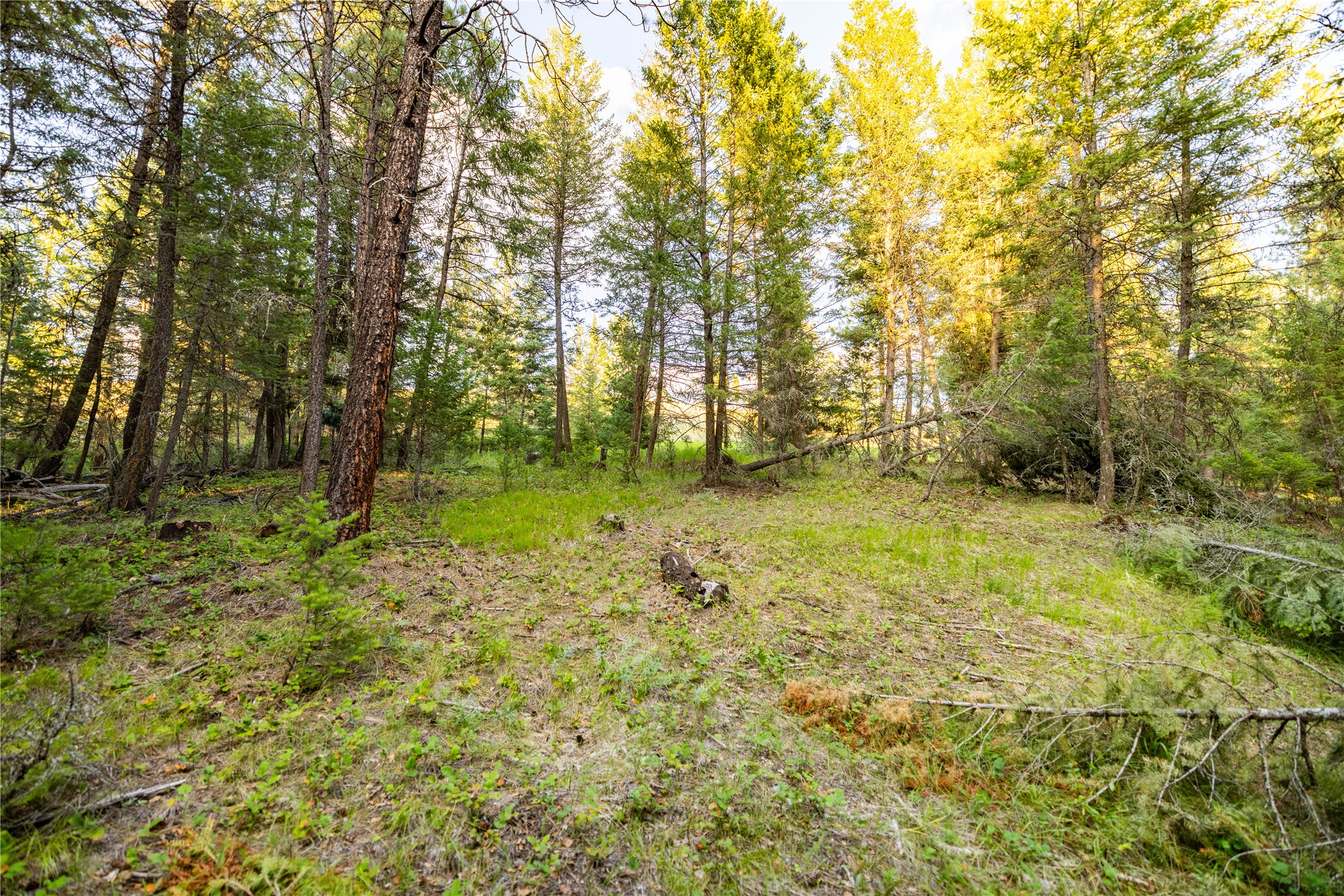 NHN Othorp Lake Road Parcel 3