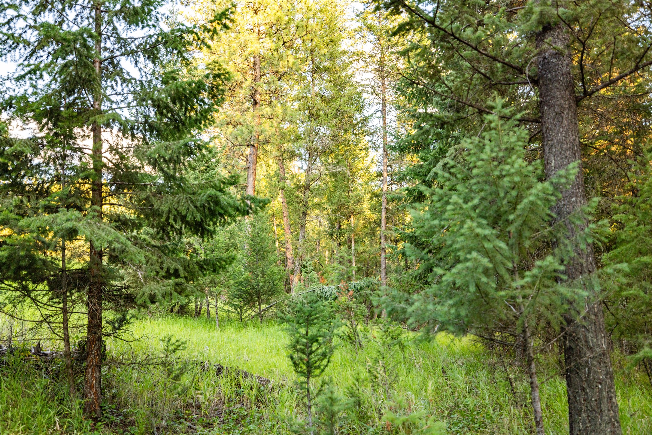 NHN Othorp Lake Road Parcel 3