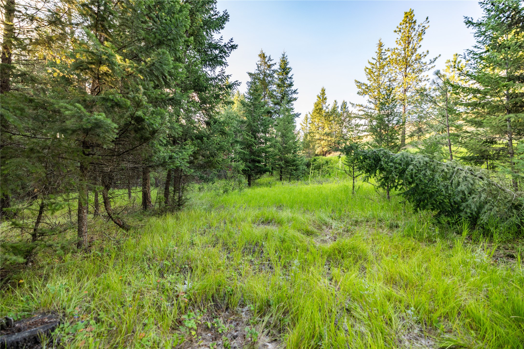 NHN Othorp Lake Road Parcel 3