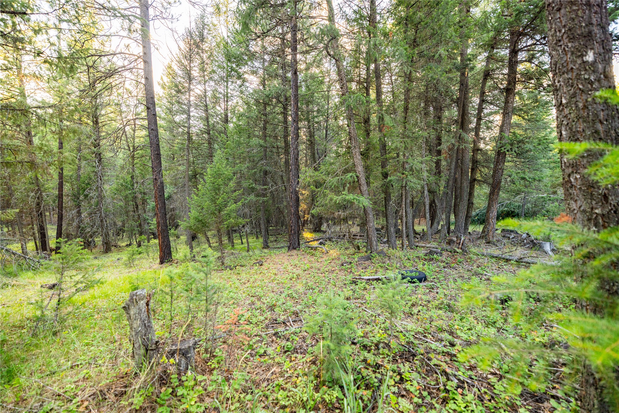 NHN Othorp Lake Road Parcel 3