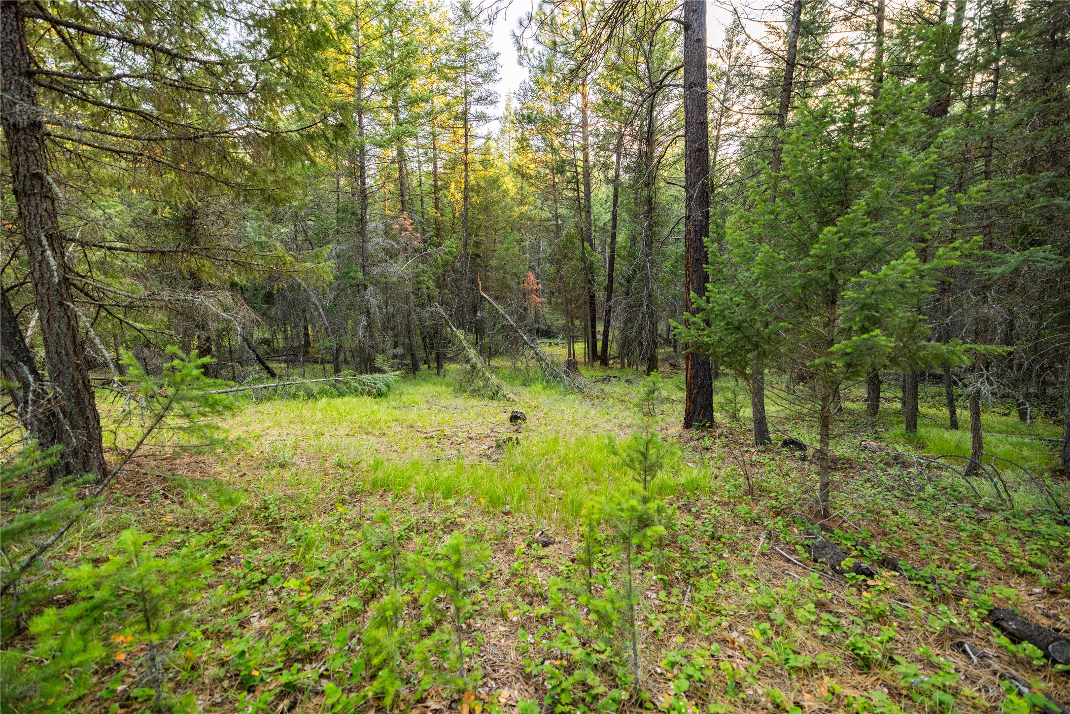 NHN Othorp Lake Road Parcel 3