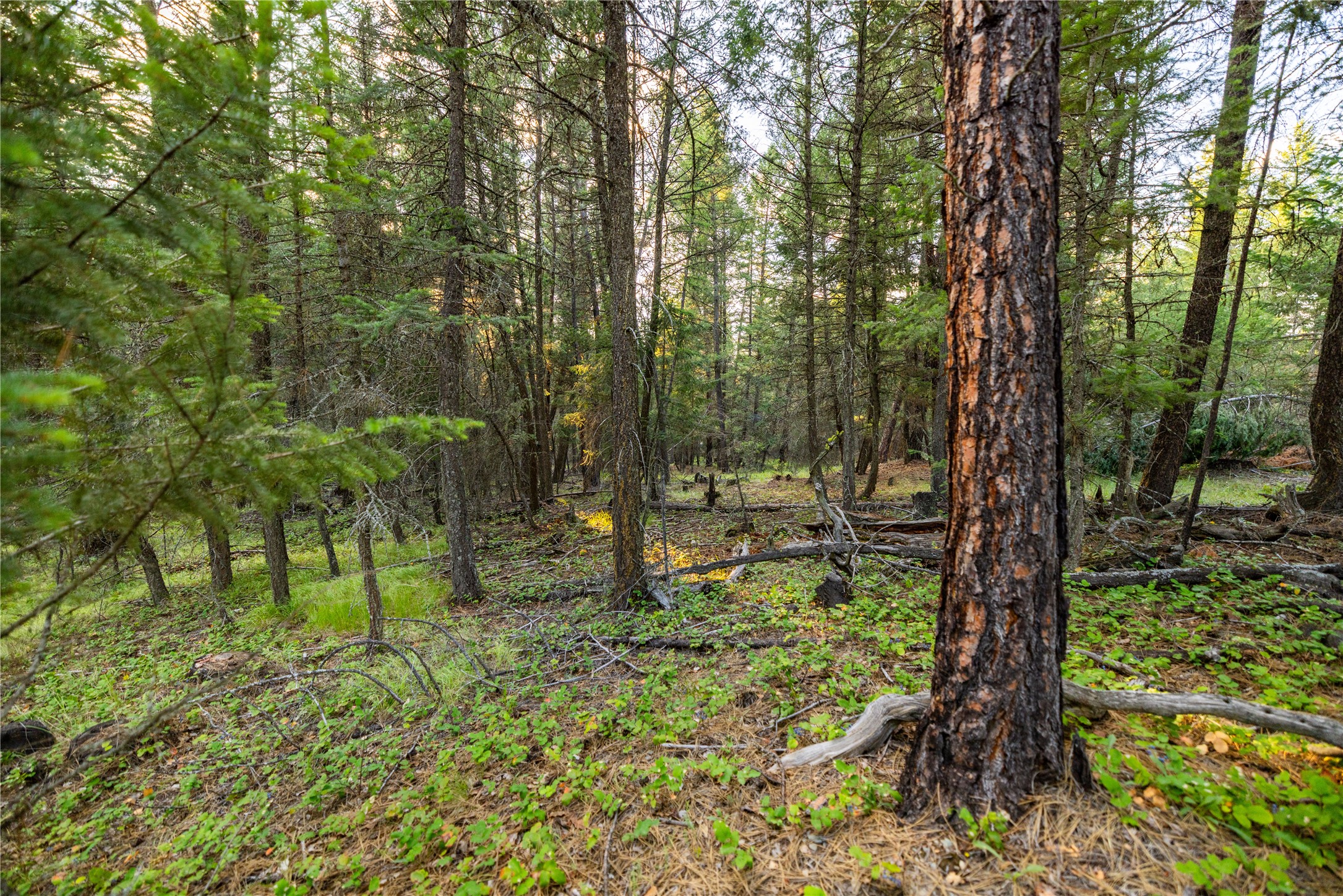 NHN Othorp Lake Road Parcel 3