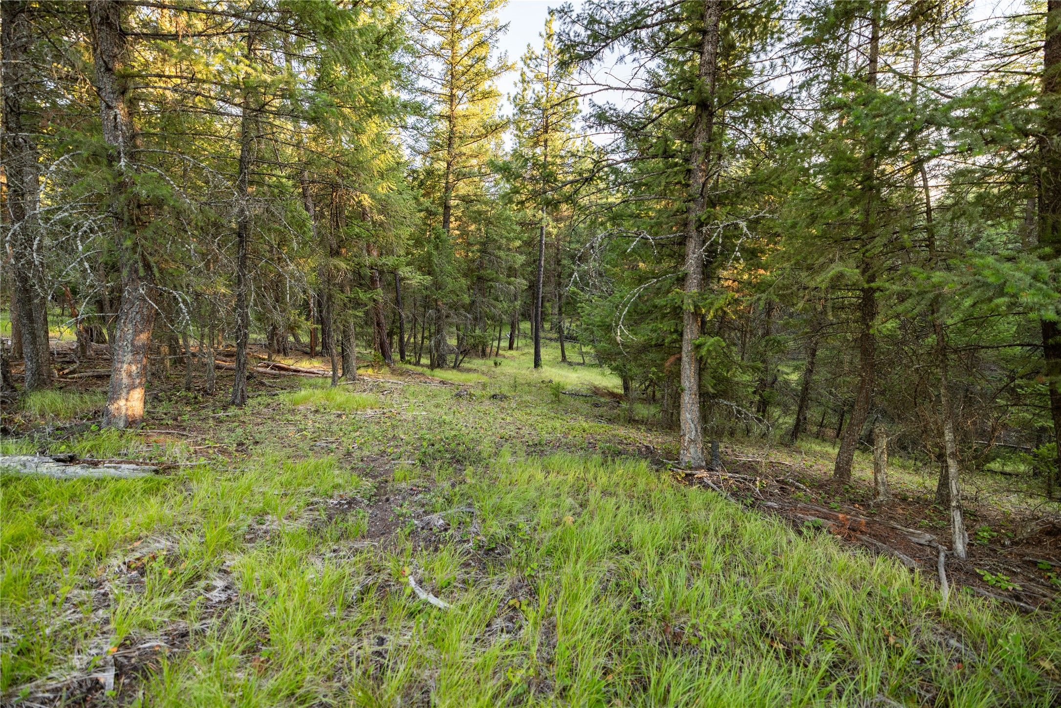 NHN Othorp Lake Road Parcel 3