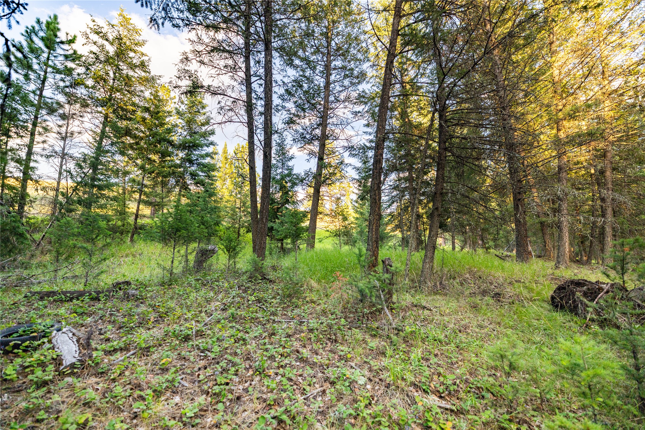 NHN Othorp Lake Road Parcel 3