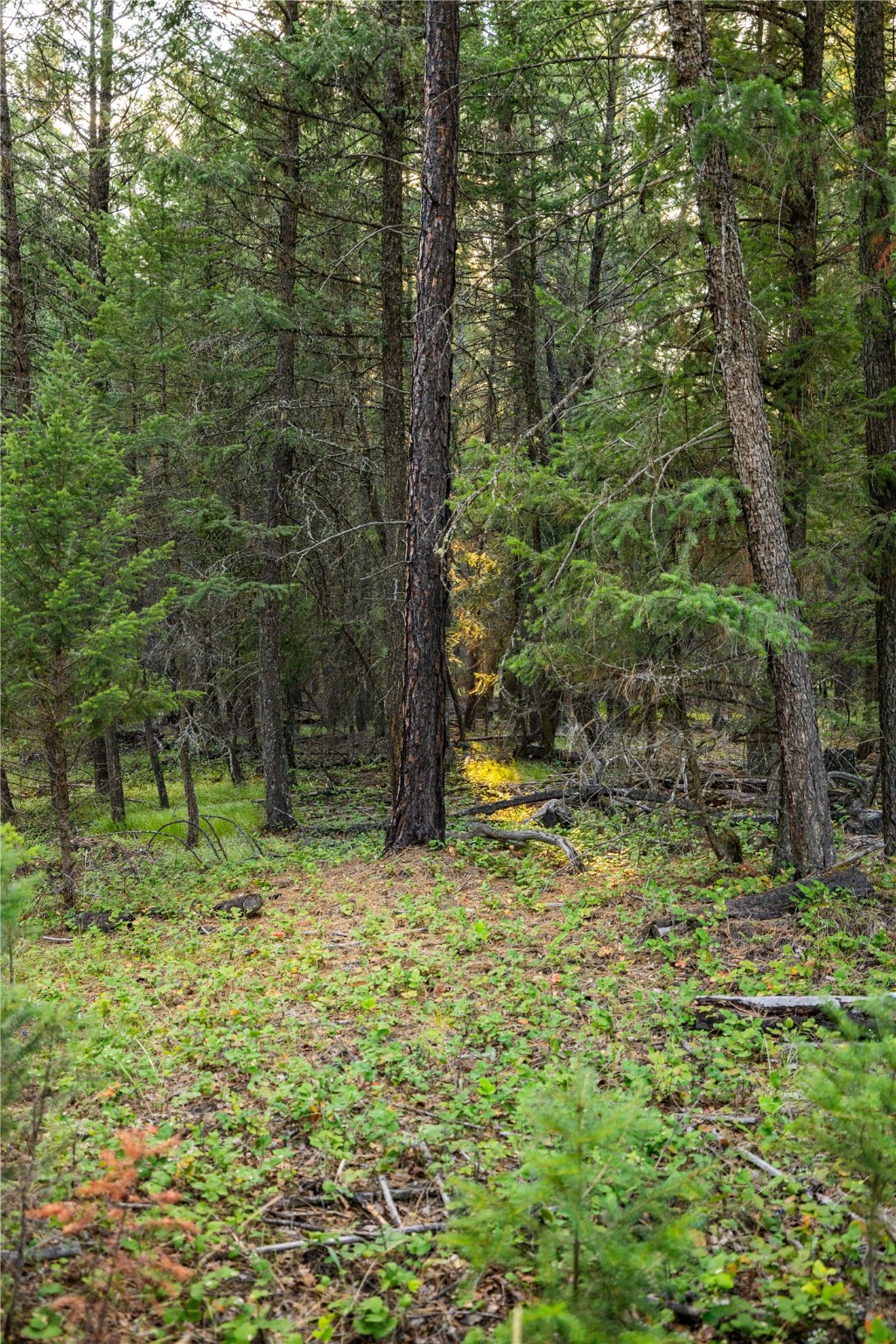 NHN Othorp Lake Road Parcel 3