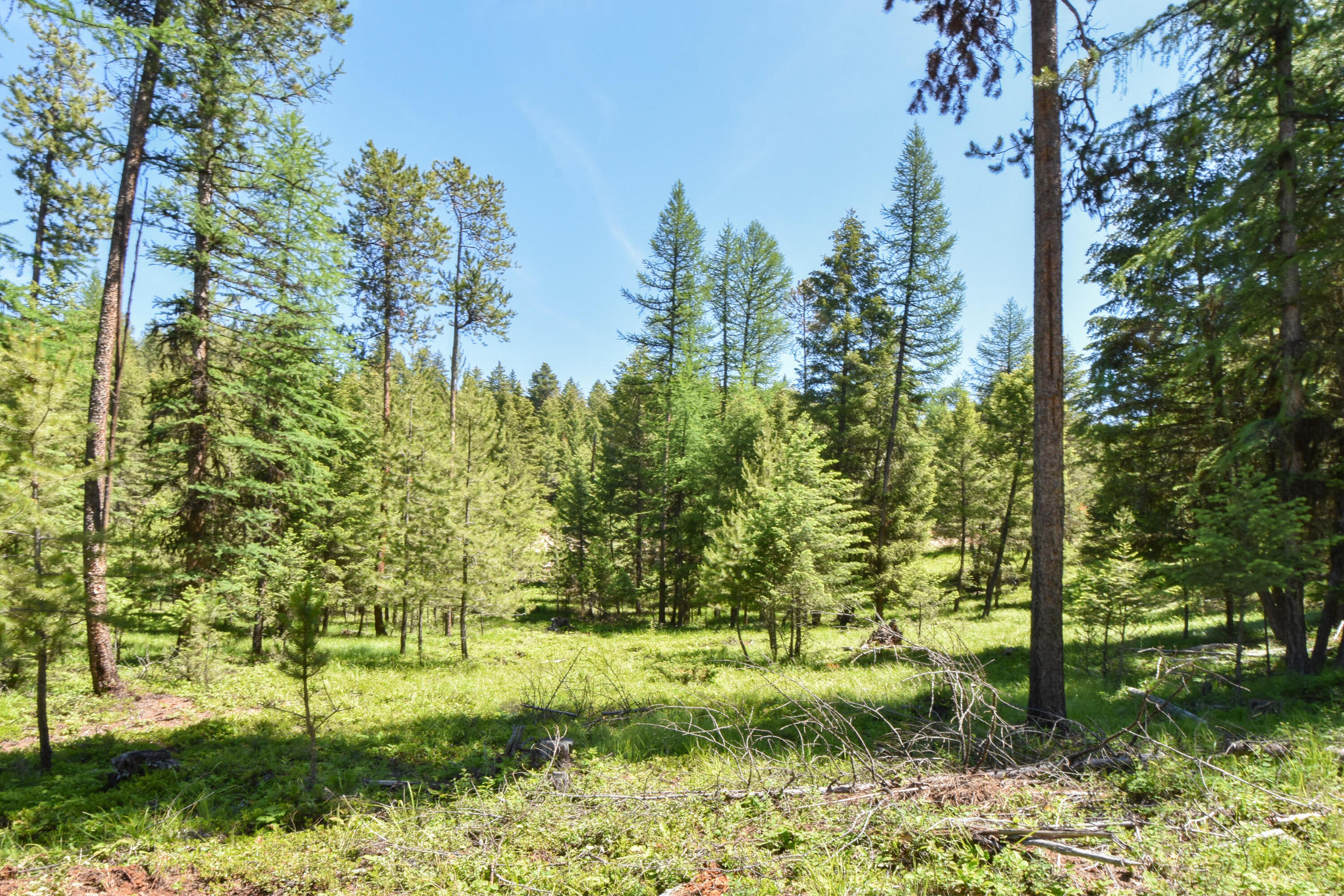 5223 Us Highway 93 S Parcel A