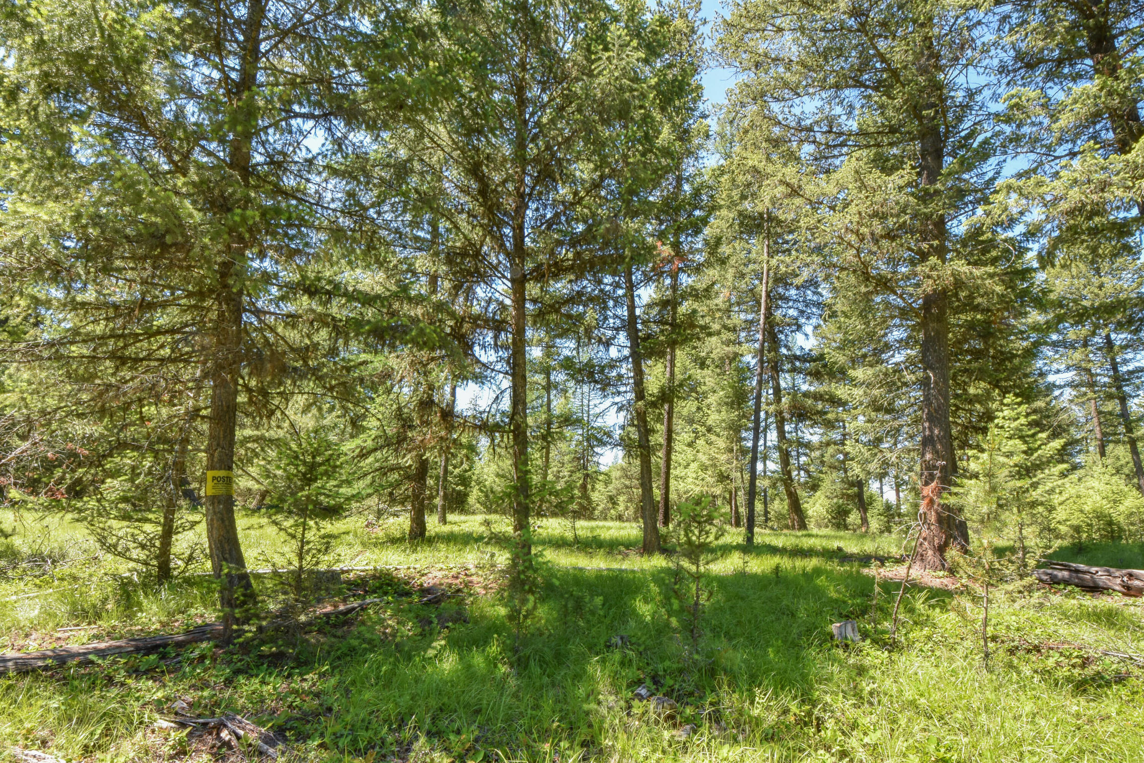 5223 Us Highway 93 S Parcel A