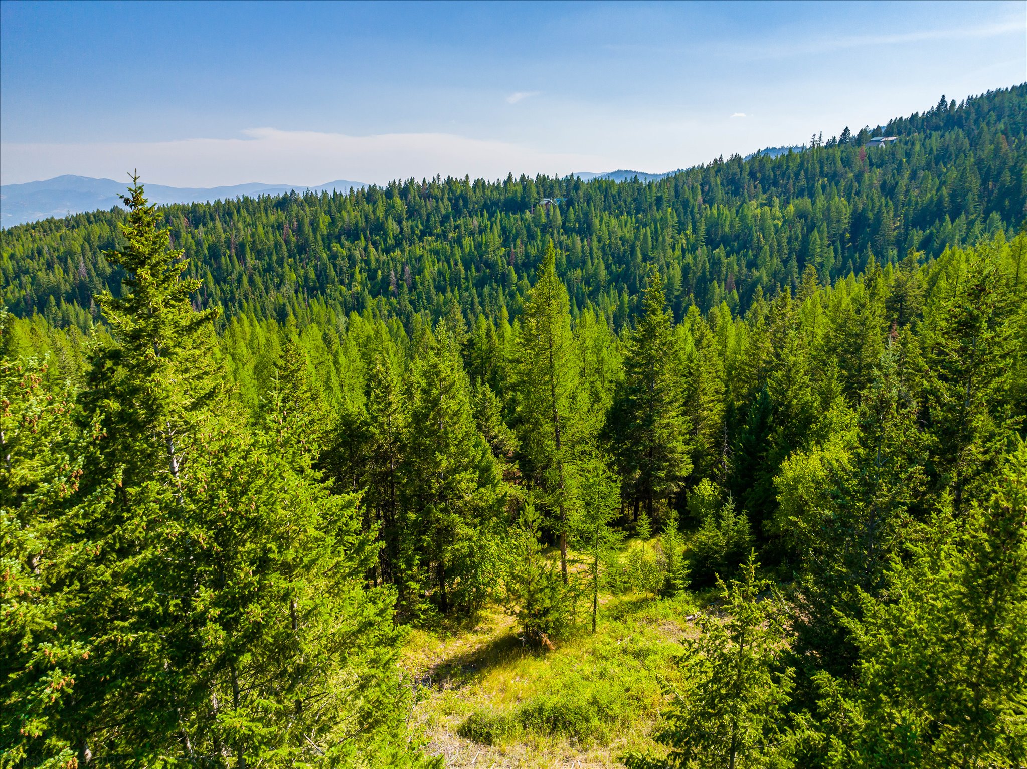 2255 Ashley Lake Road