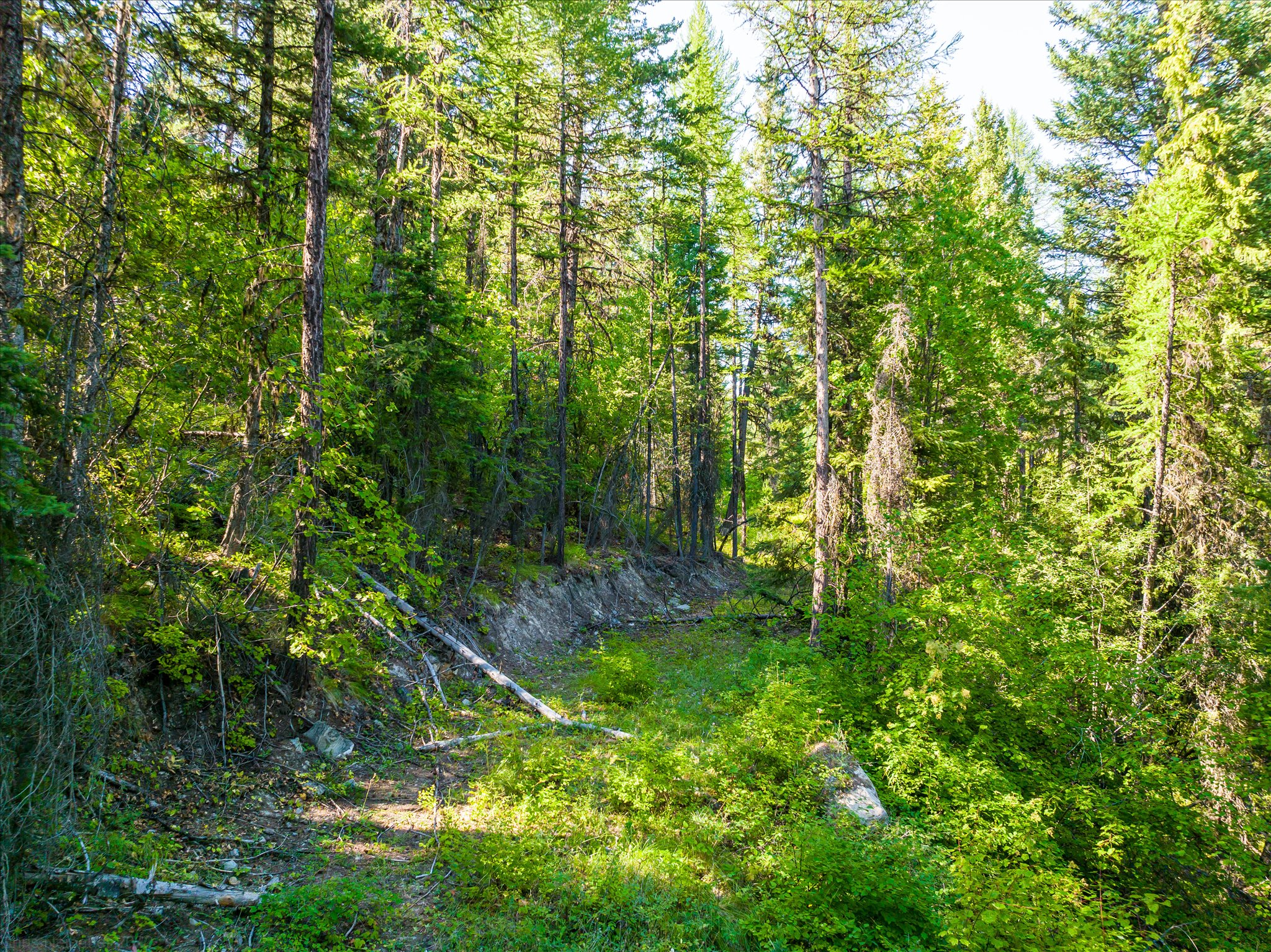 2255 Ashley Lake Road