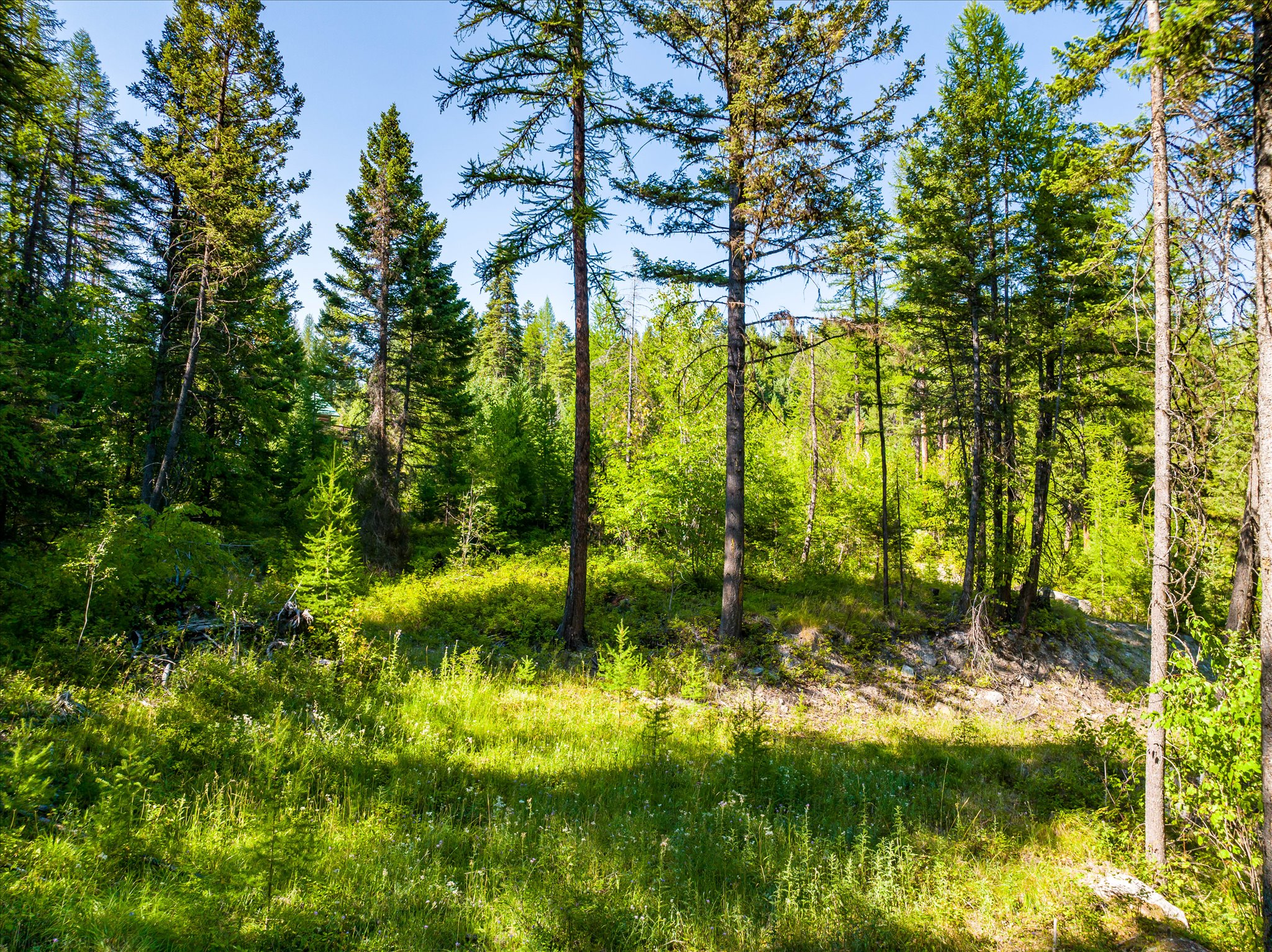 2255 Ashley Lake Road