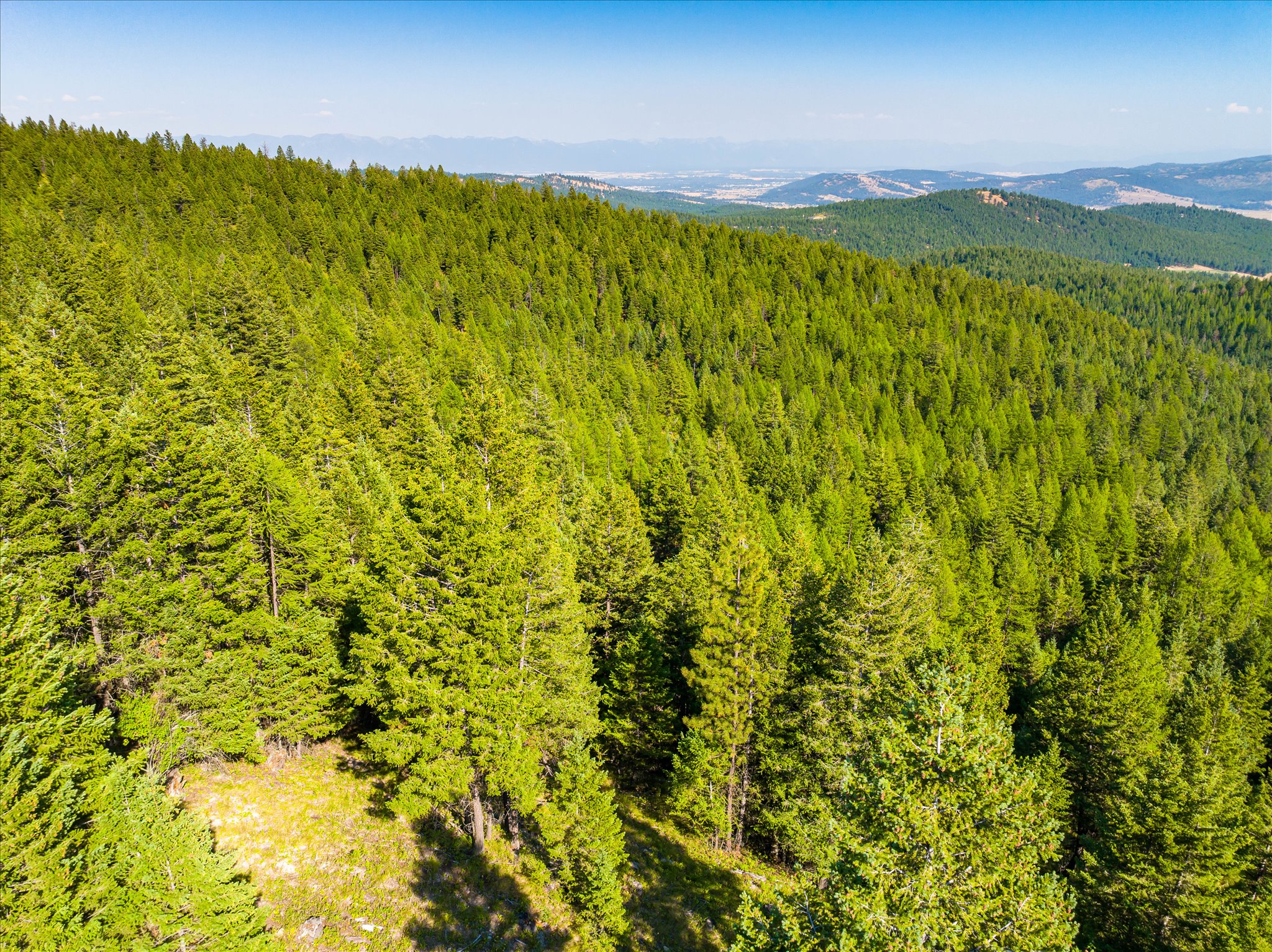 2255 Ashley Lake Road