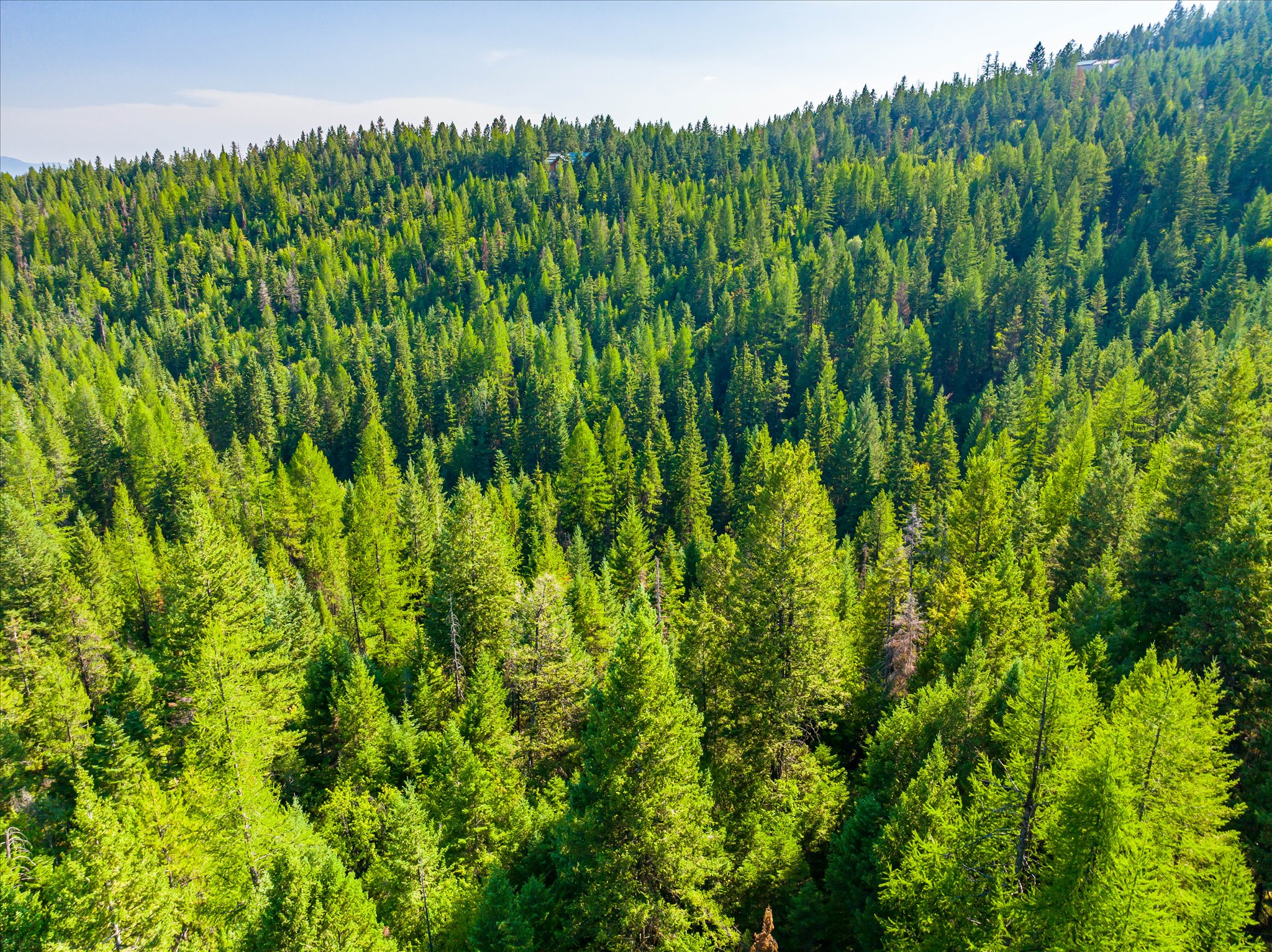 2255 Ashley Lake Road