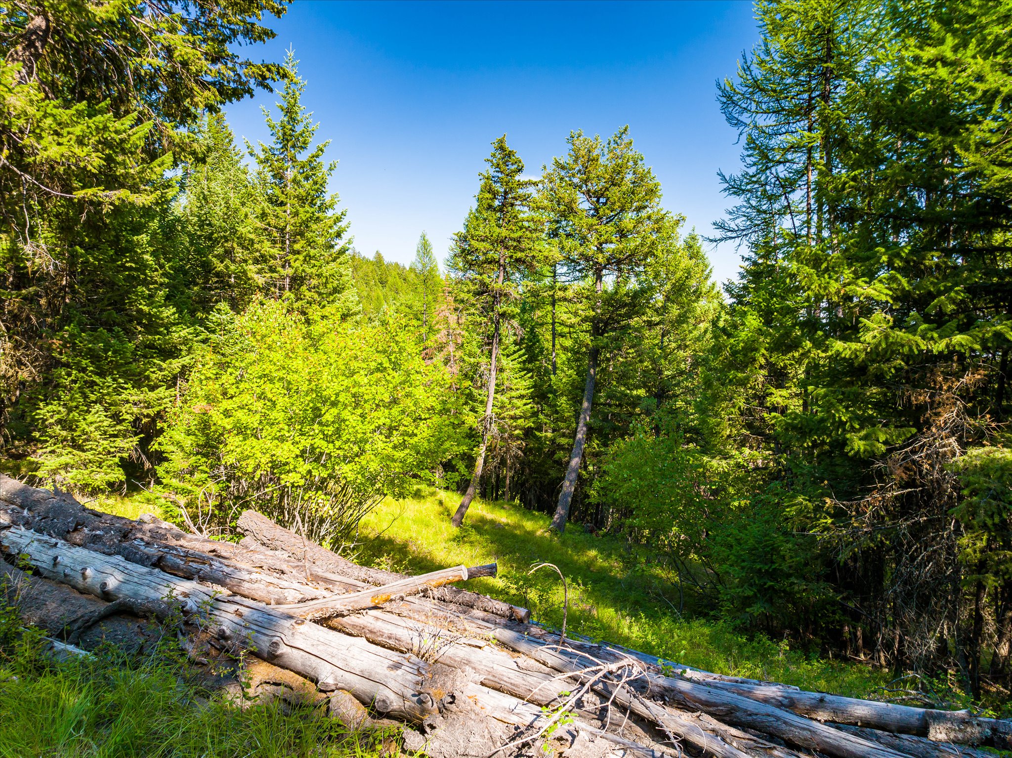 2255 Ashley Lake Road