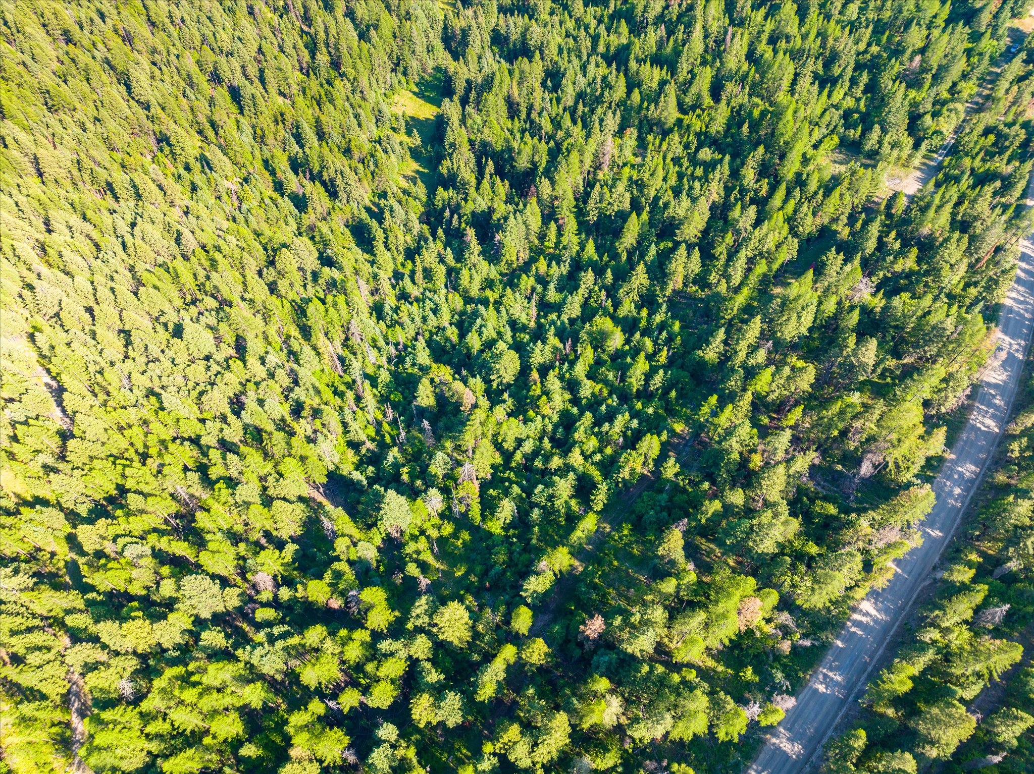 2255 Ashley Lake Road