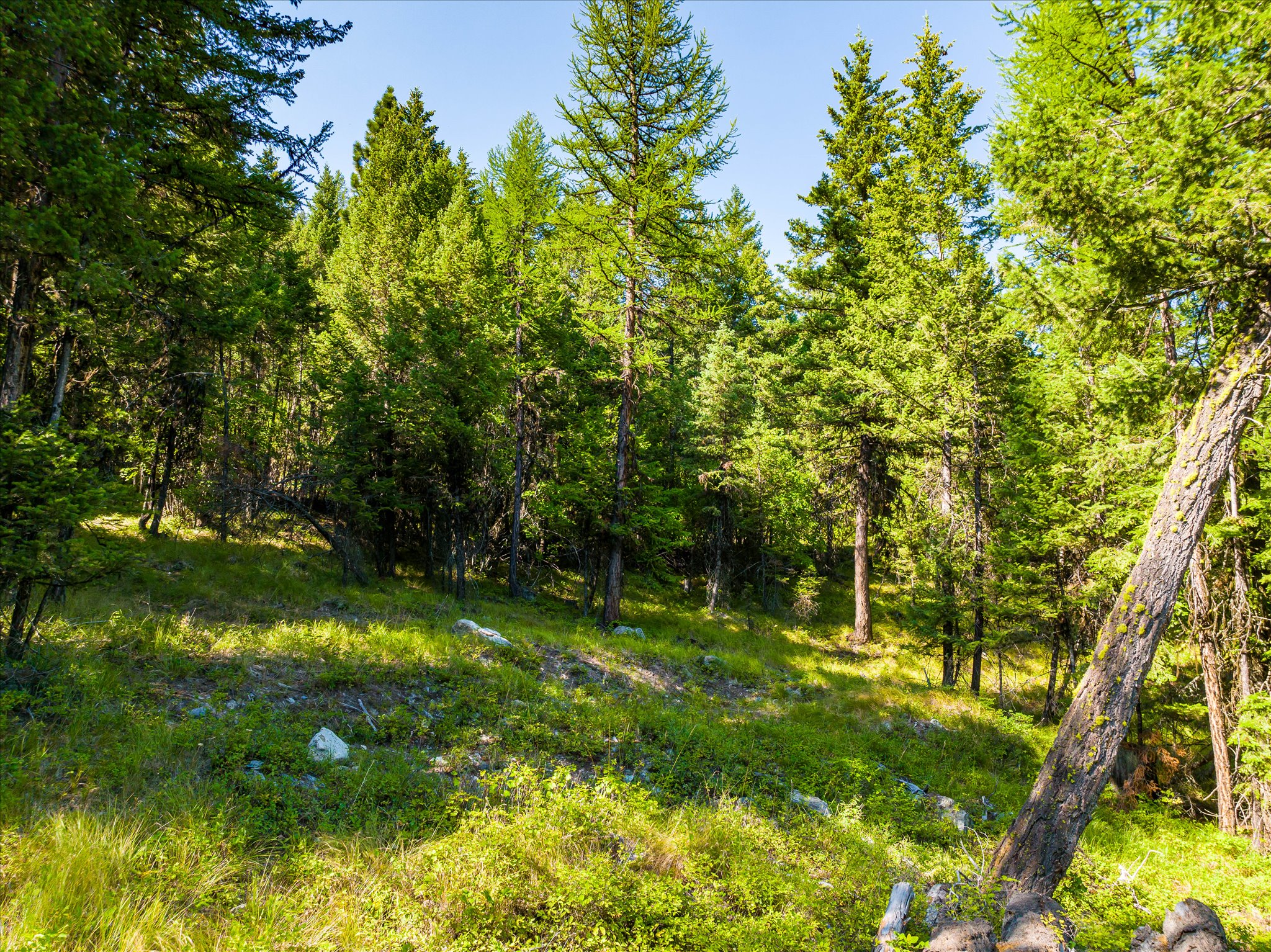 2255 Ashley Lake Road