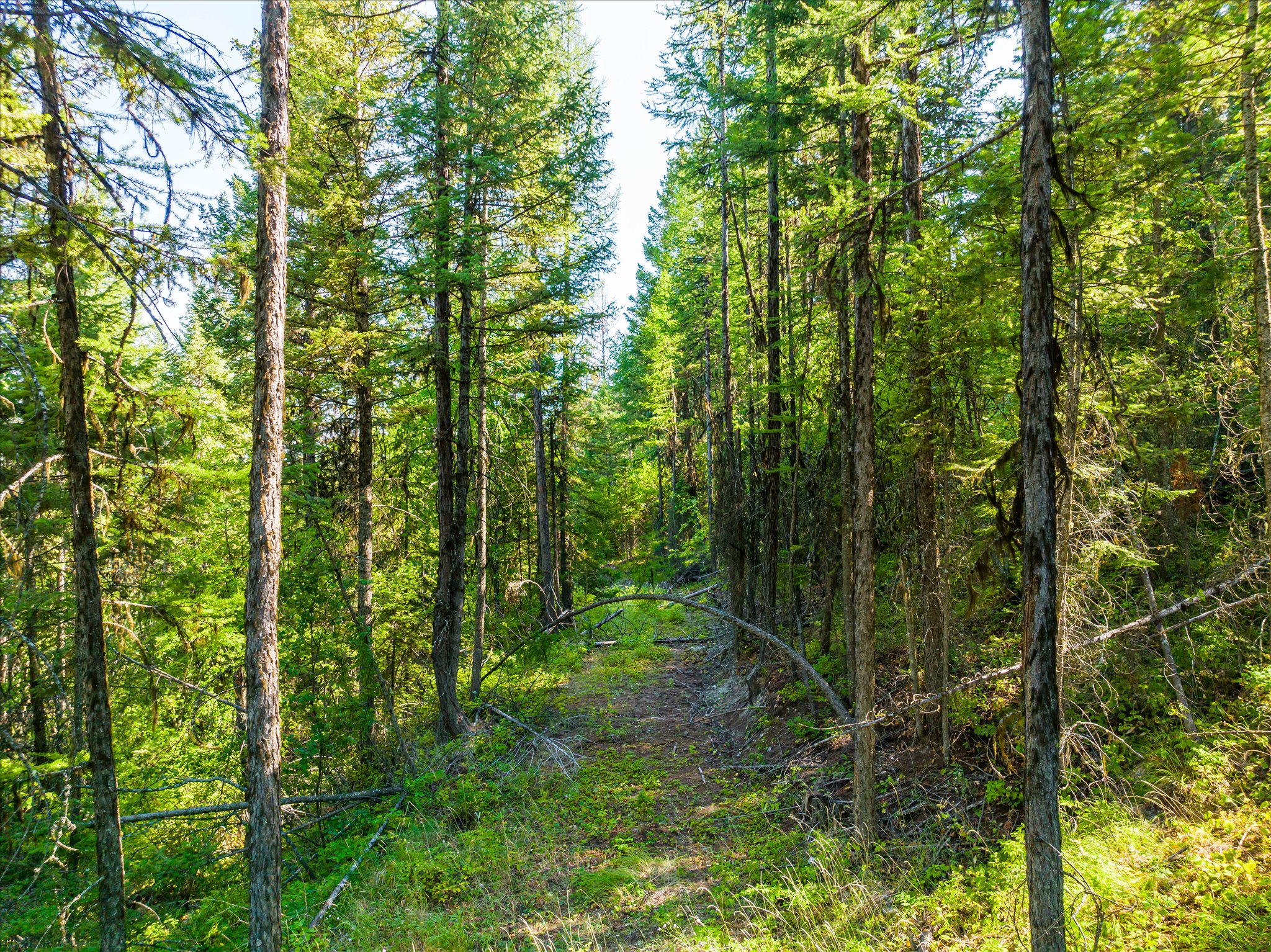 2255 Ashley Lake Road