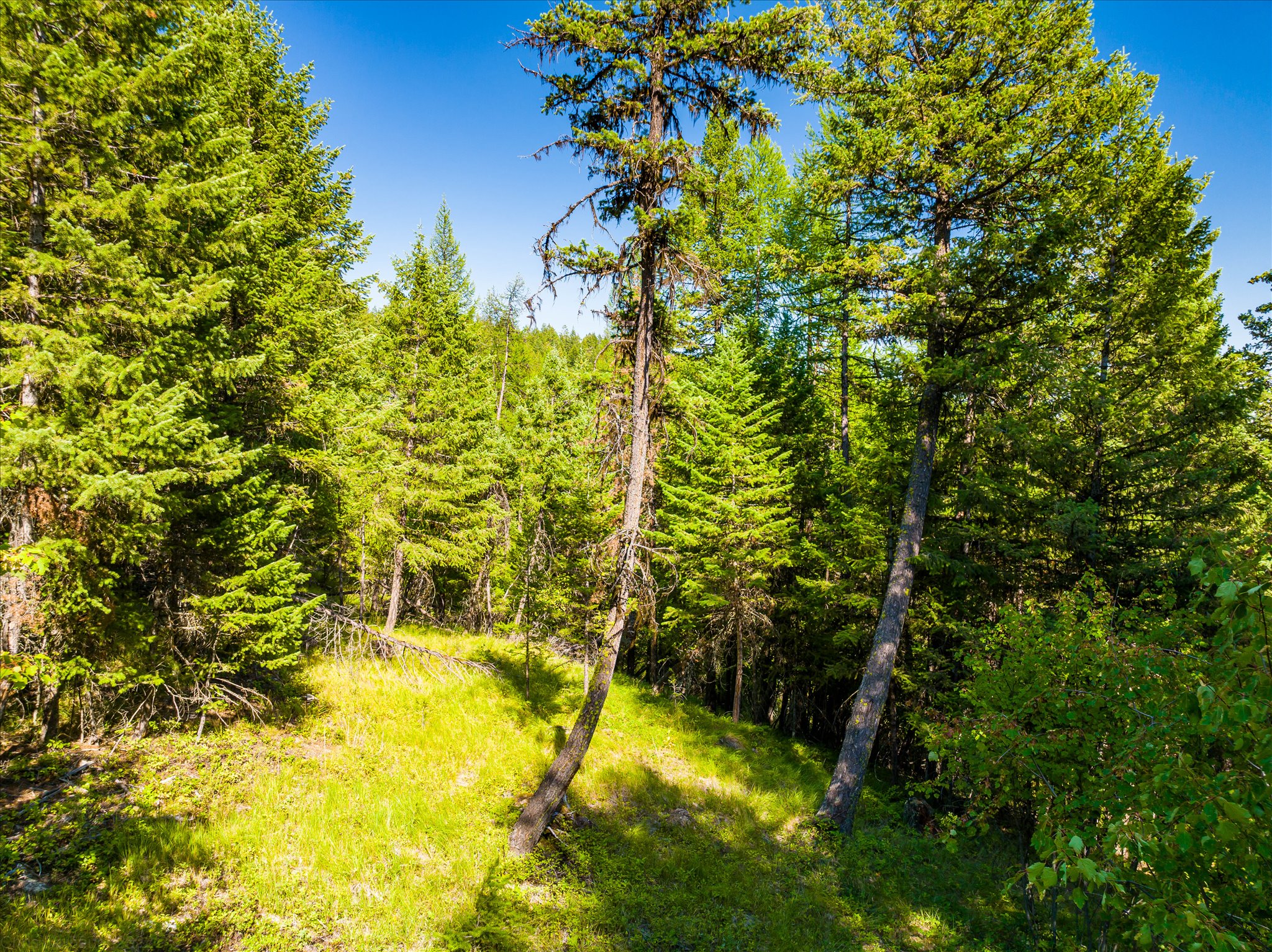 2255 Ashley Lake Road