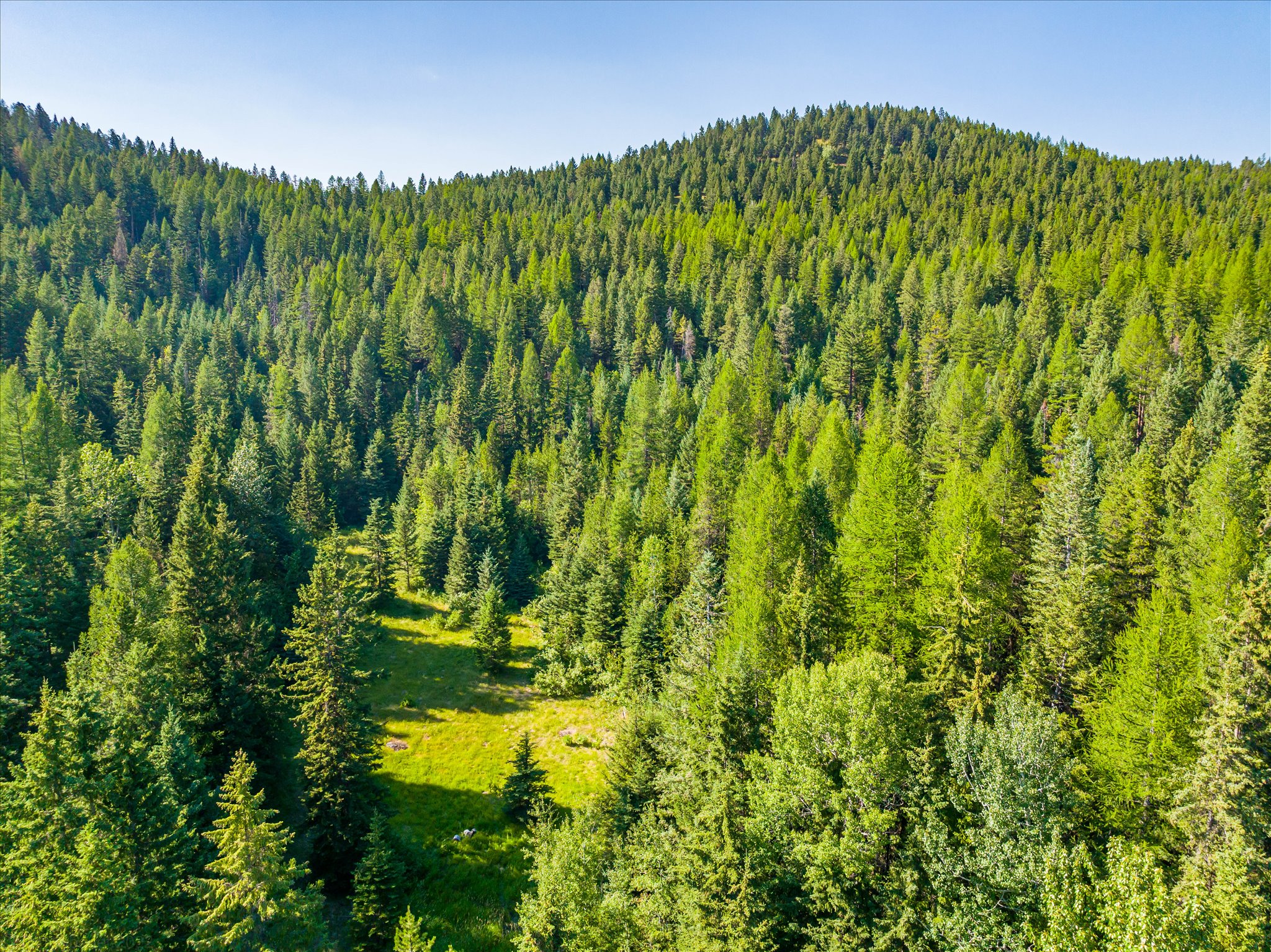 2255 Ashley Lake Road