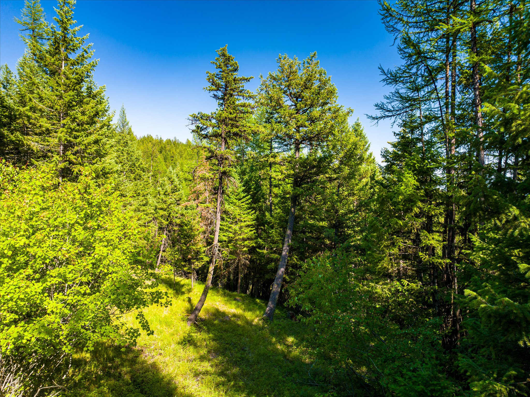 2255 Ashley Lake Road