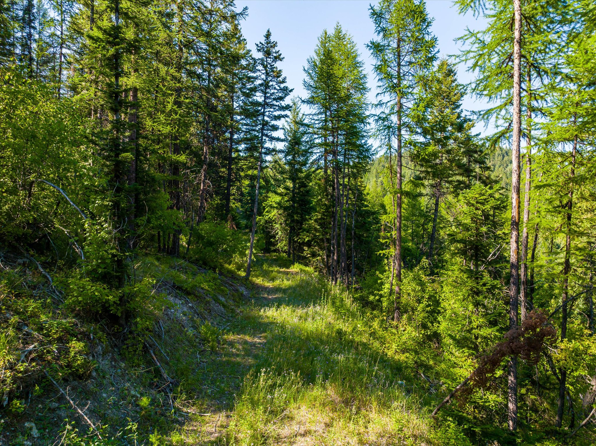 2255 Ashley Lake Road