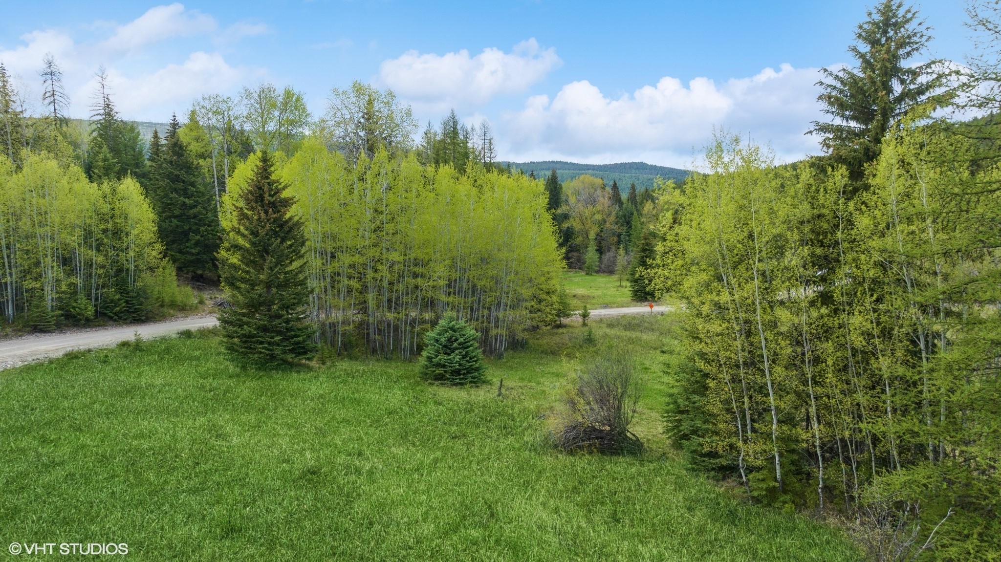 123 Tamarack Lane