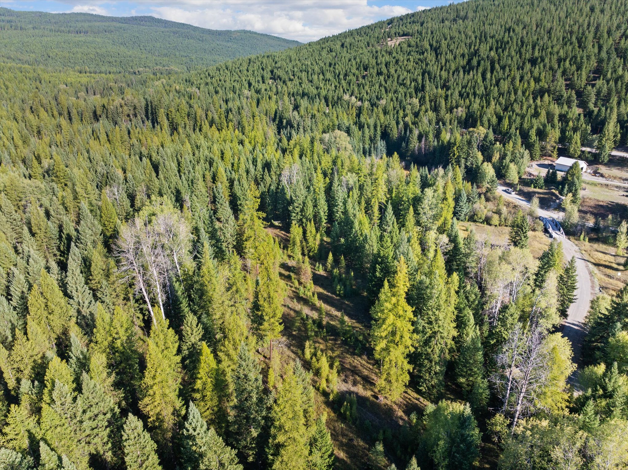 123 Tamarack Lane