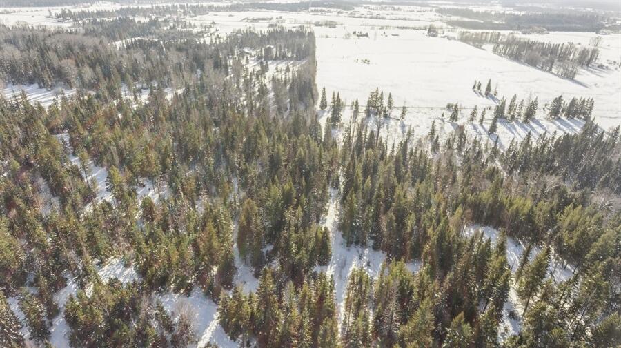 635 Kaeding Creek Road