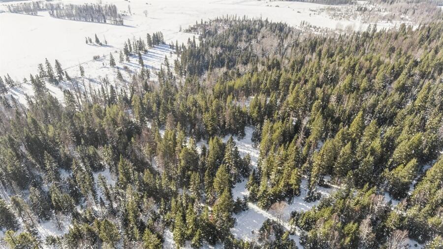 635 Kaeding Creek Road