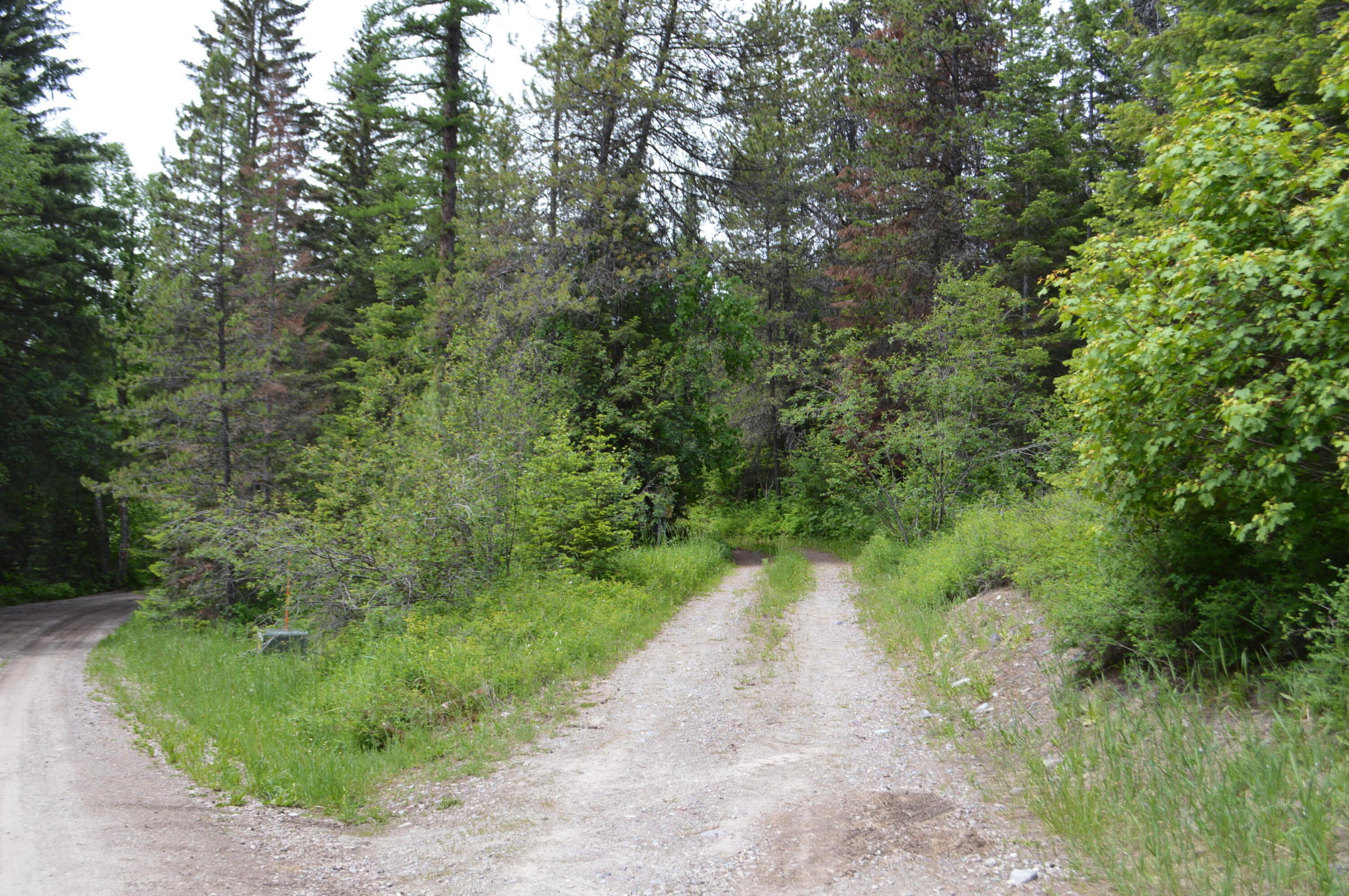 635 Kaeding Creek Road