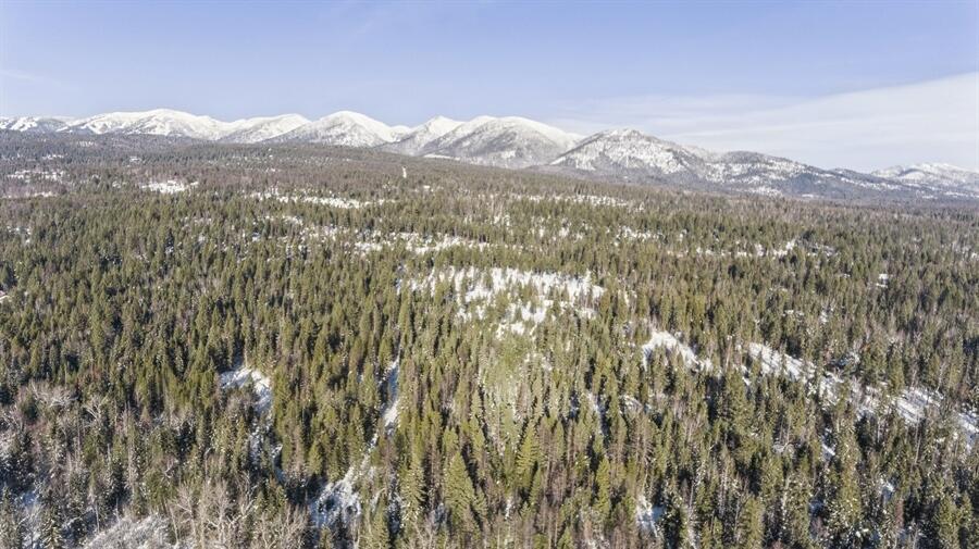 635 Kaeding Creek Road