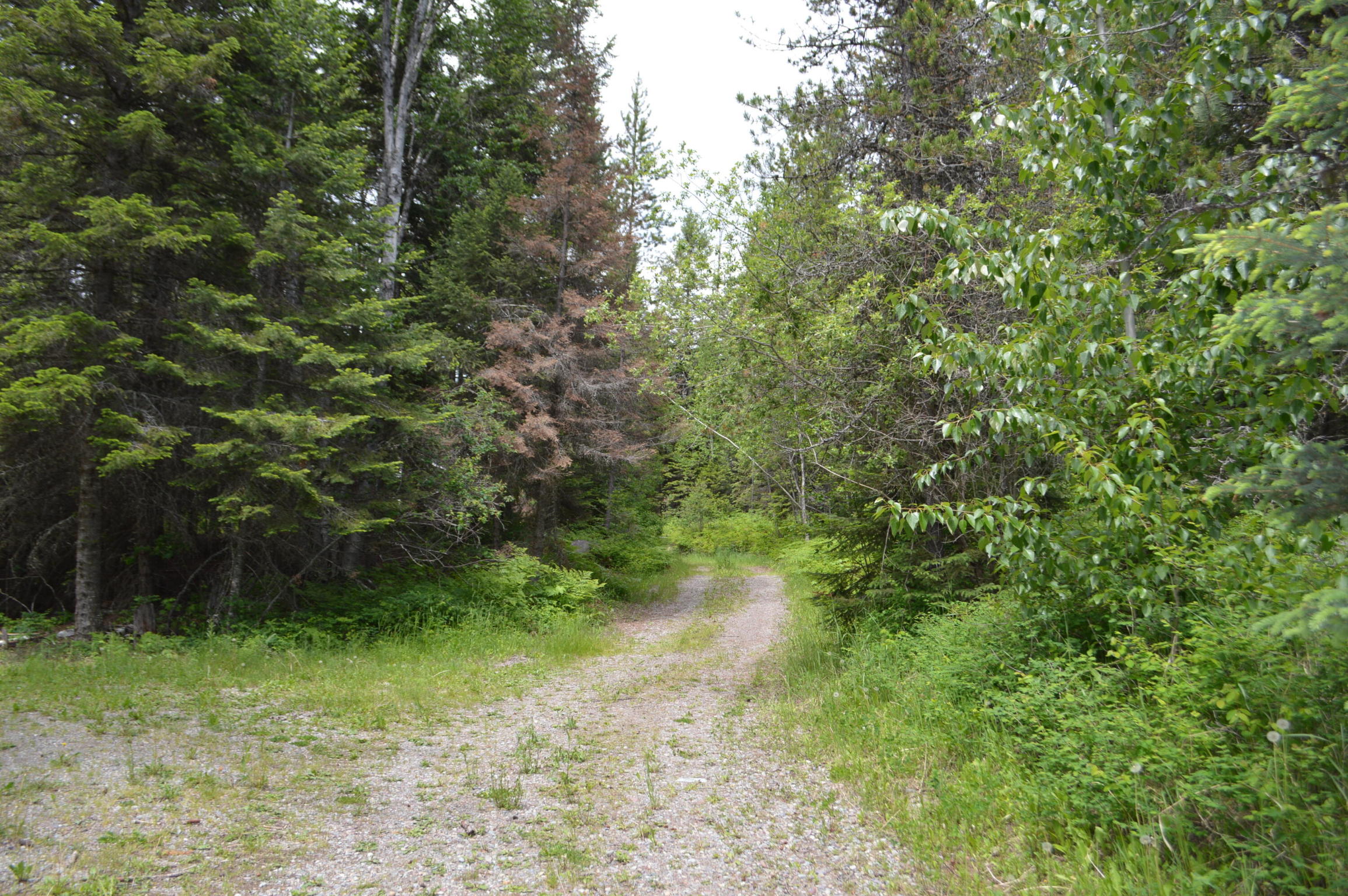635 Kaeding Creek Road