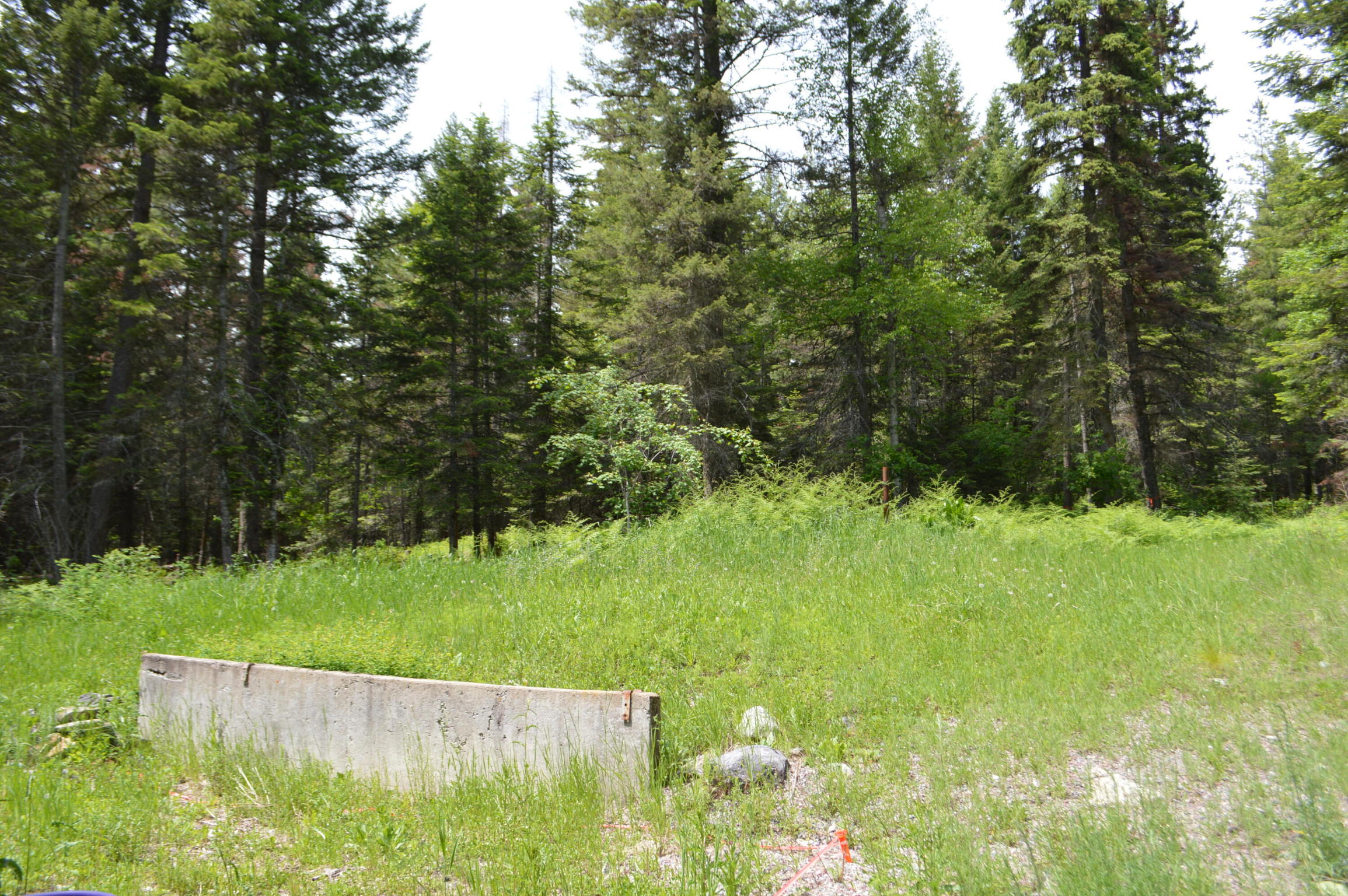 635 Kaeding Creek Road