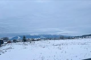 83 Elderberry Loop A