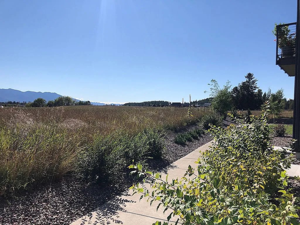 83 Elderberry Loop A