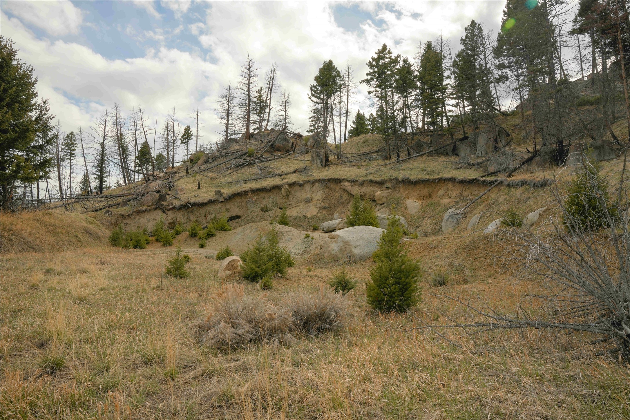 NHN Upper Radar Creek Road